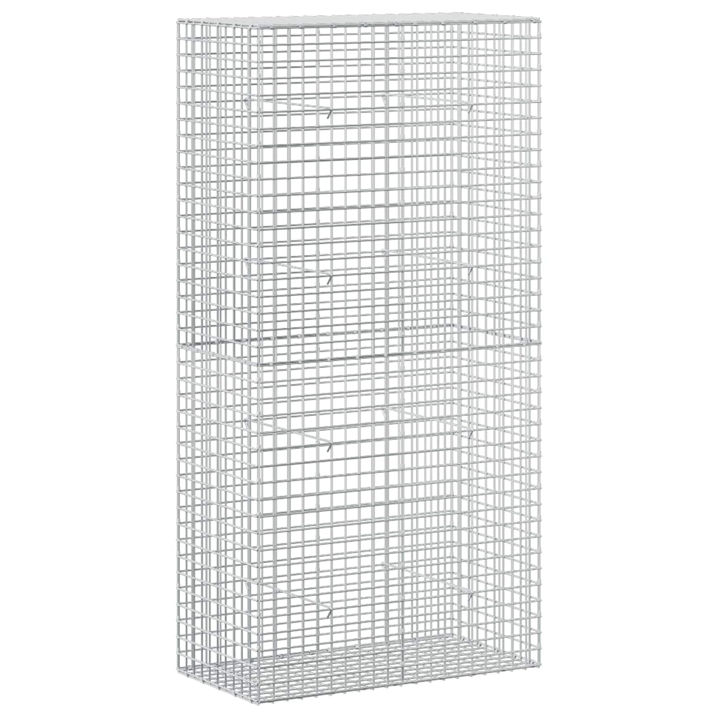 vidaXL Γκαμπιόν με σύρμα 5 mm και πλέγμα 5x5 cm 100x50x200 cm