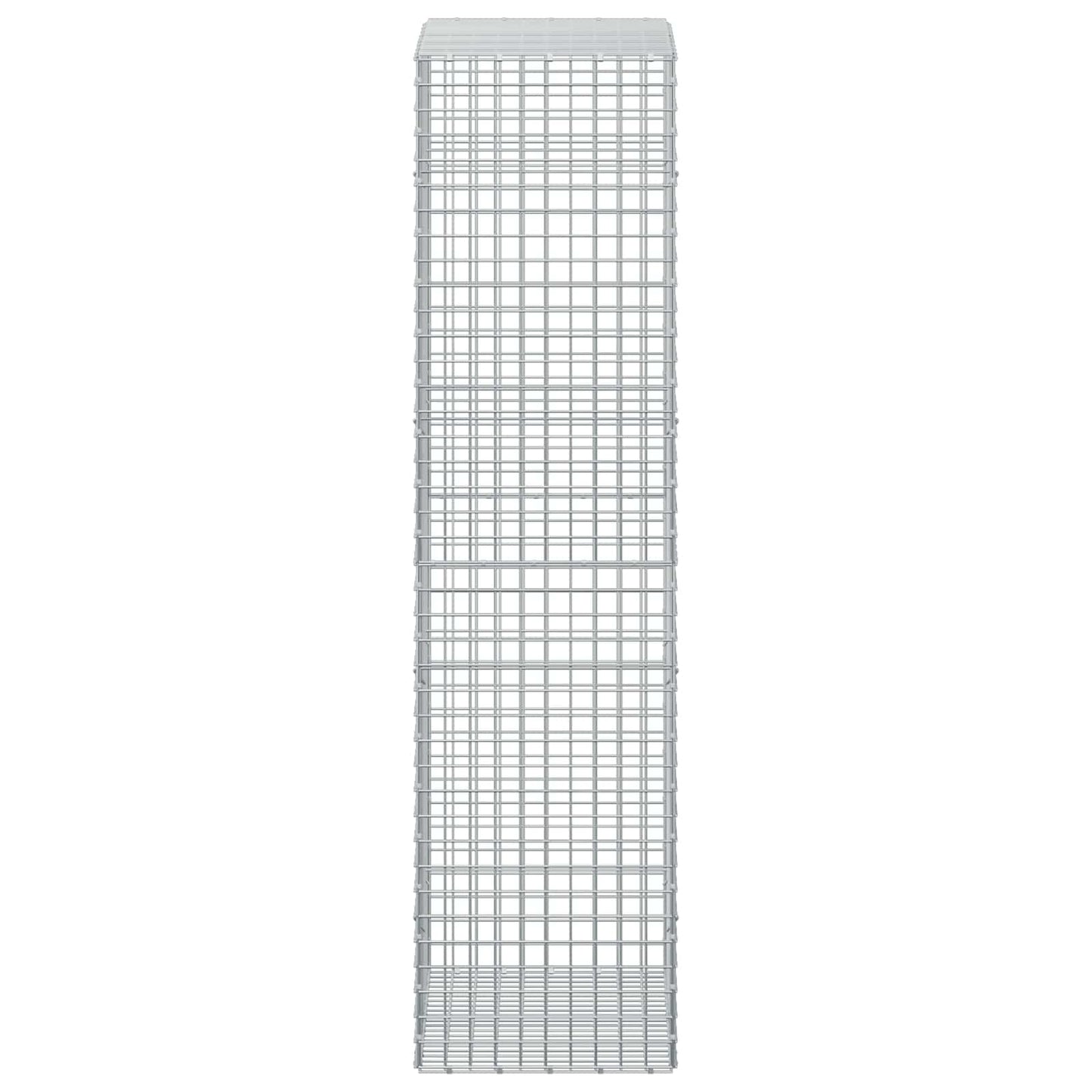 vidaXL Γκαμπιόν με σύρμα 5 mm και πλέγμα 5x5 cm 100x50x200 cm