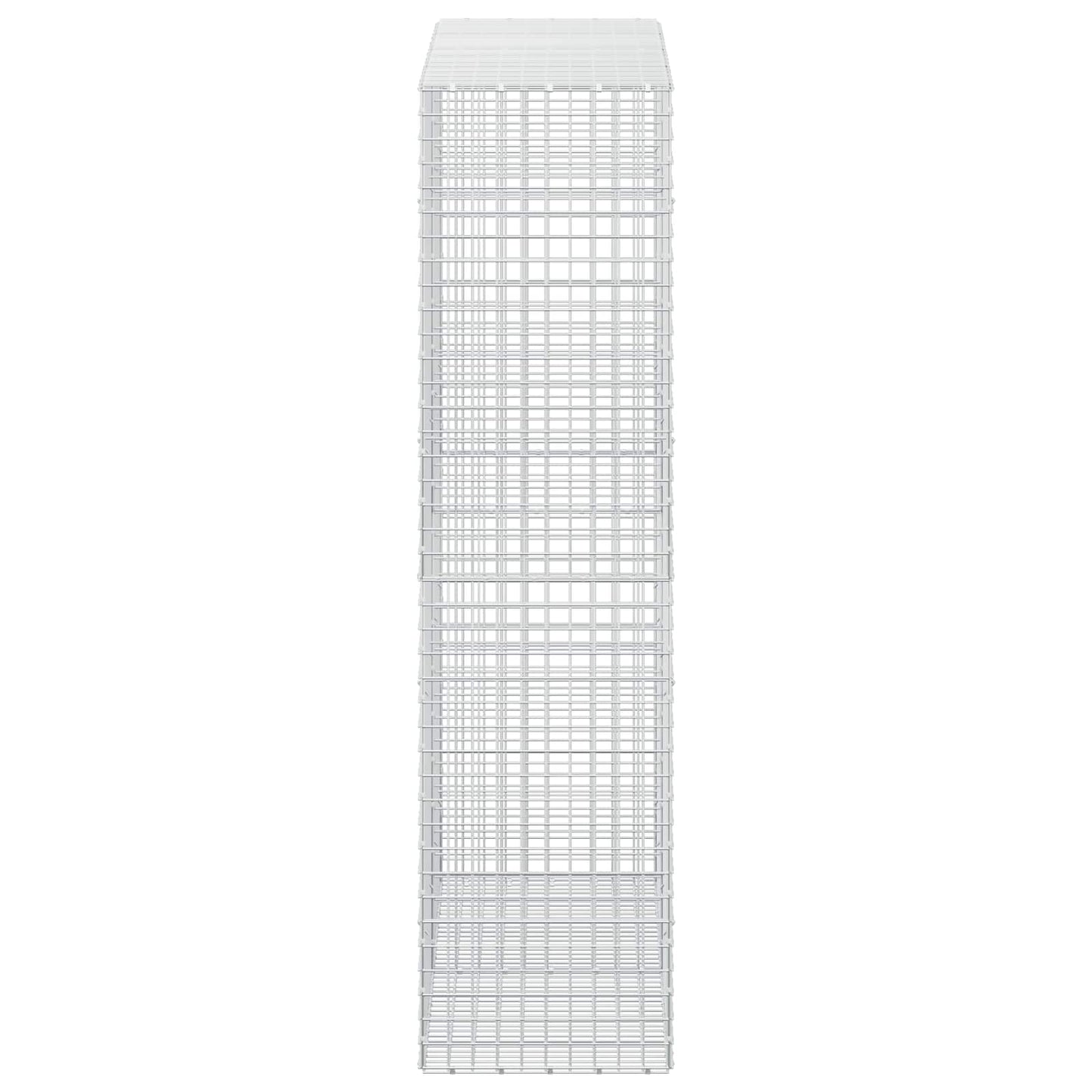 vidaXL Γκαμπιόν με σύρμα 5 mm και πλέγμα 5x5 cm 200x50x200 εκ