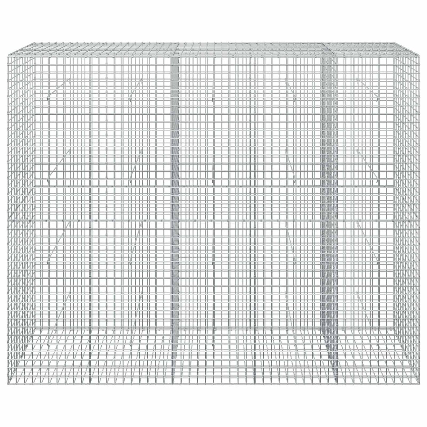 vidaXL Γκαμπιόν με σύρμα 5 mm και πλέγμα 5x5 cm 250x50x200 εκ.