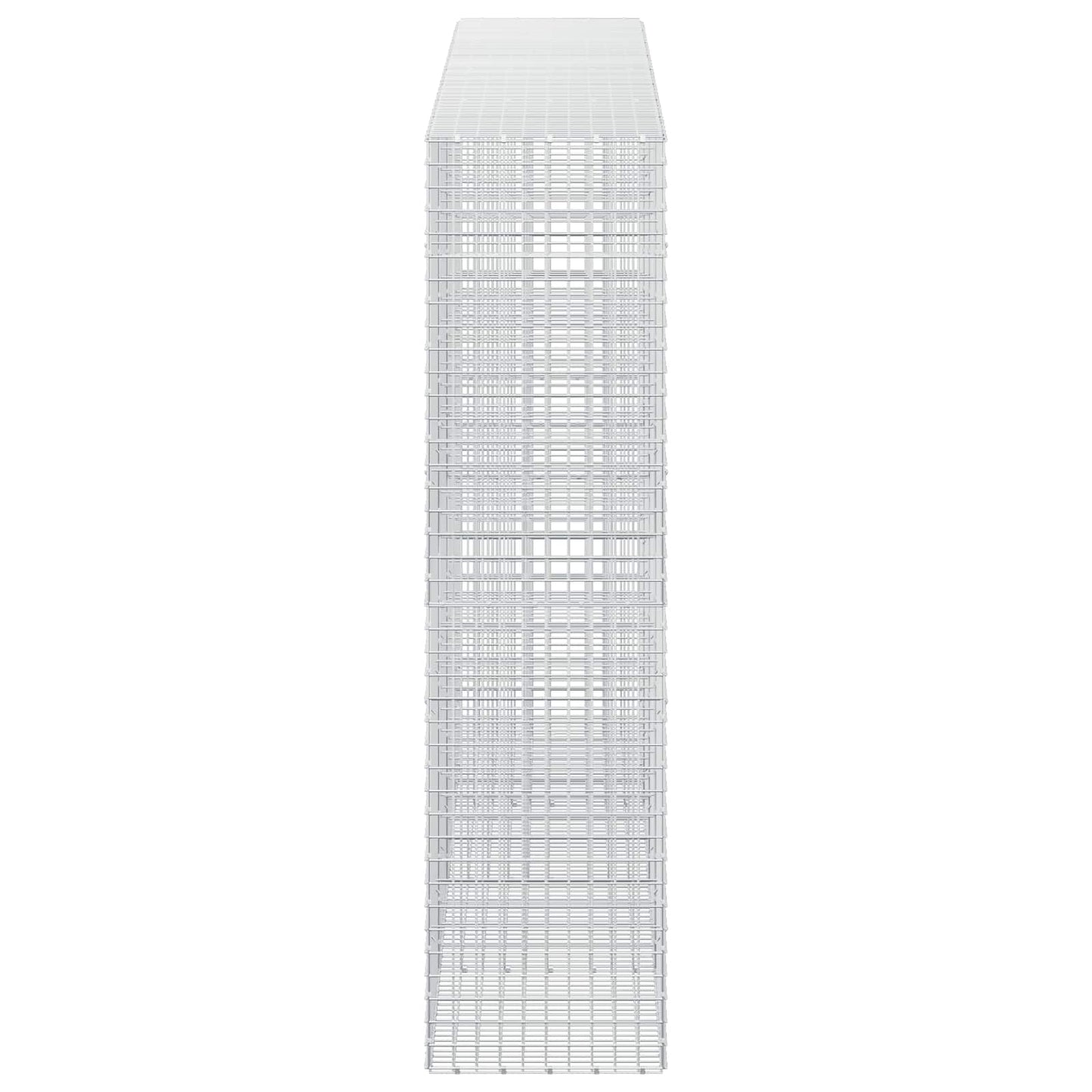 vidaXL Γκαμπιόν με σύρμα 5 mm και πλέγμα 5x5 cm 400x50x200 εκ