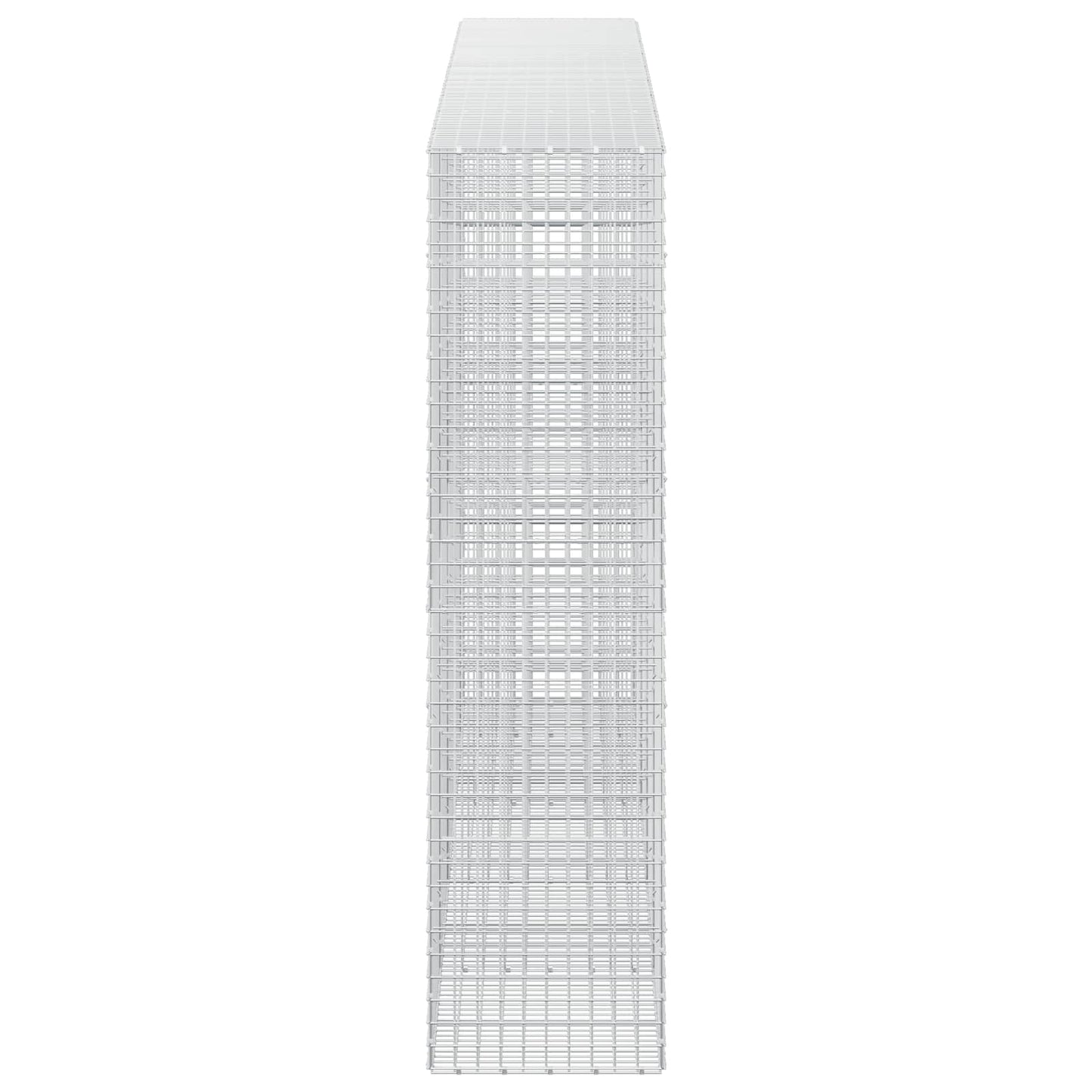 vidaXL Γκαμπιόν με σύρμα 5 mm και πλέγμα 5x5 cm 450x50x200 εκ