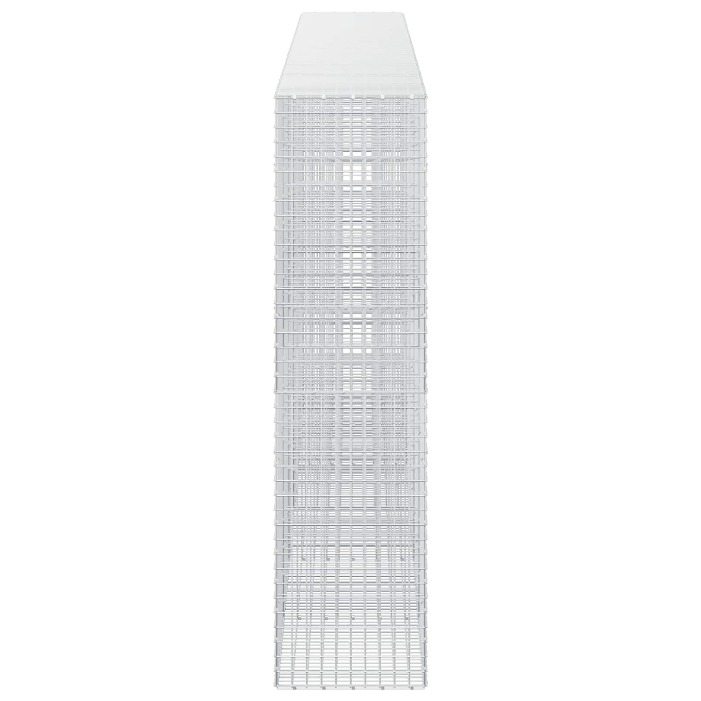 vidaXL Γκαμπιόν με σύρμα 5 mm και πλέγμα 5x5 cm 550x50x200 εκ.