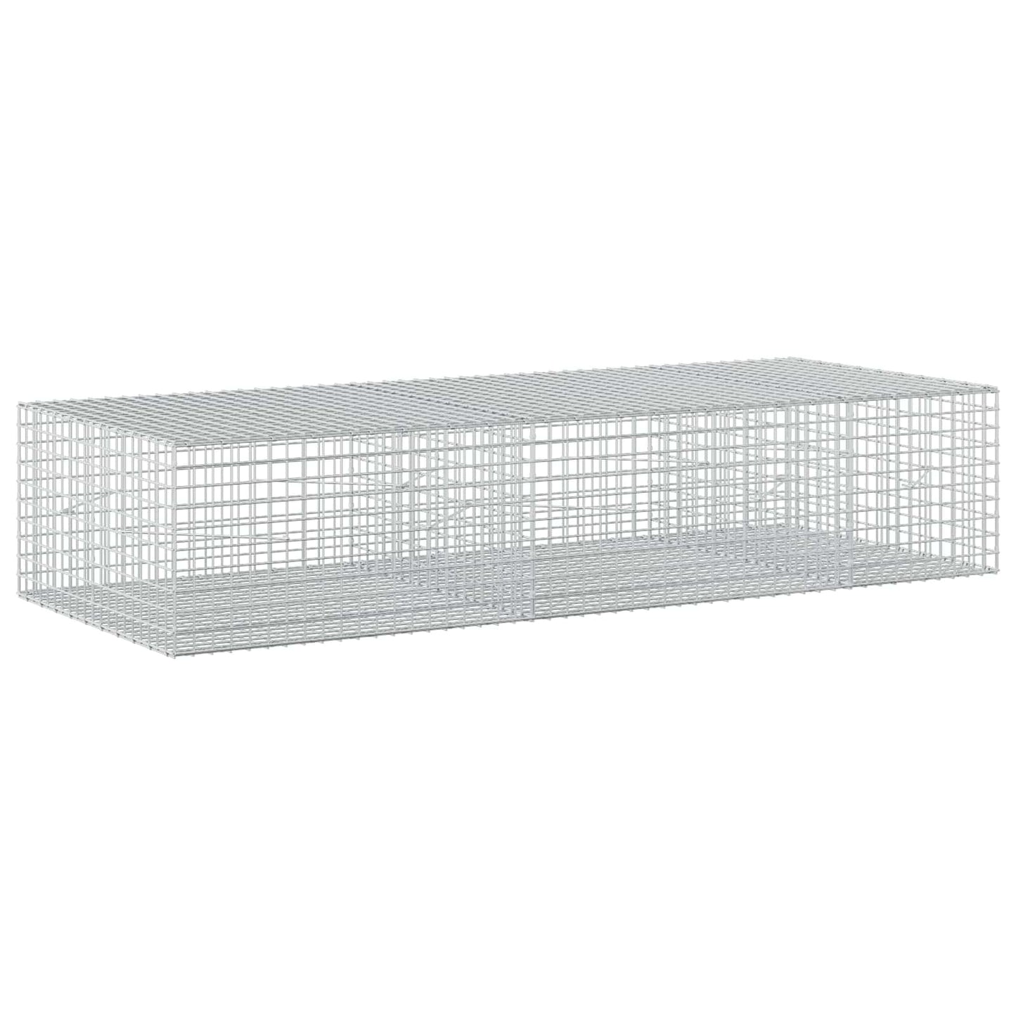 vidaXL Γκαμπιόν με σύρμα 5 mm και πλέγμα 5x5 cm 250x100x50 εκ.