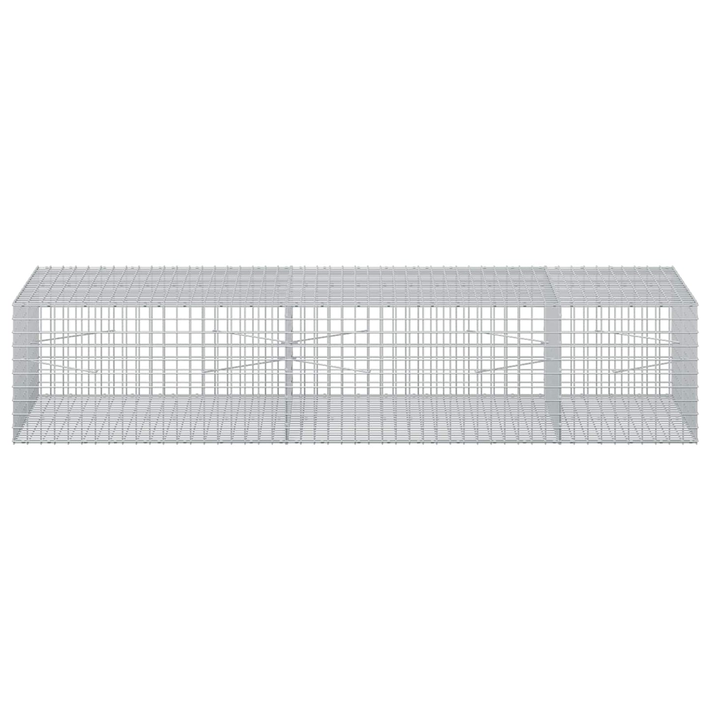 vidaXL Γκαμπιόν με σύρμα 5 mm και πλέγμα 5x5 cm 250x100x50 εκ.