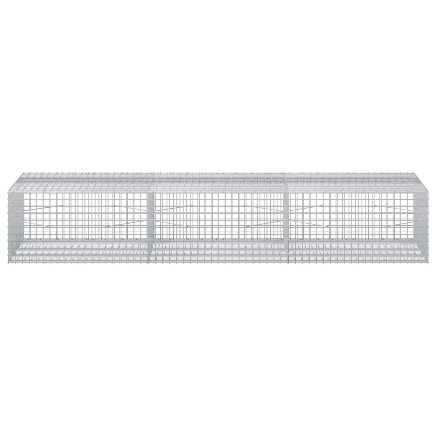 vidaXL Γκαμπιόν με σύρμα 5 mm και πλέγμα 5x5 cm 300x100x50 εκ