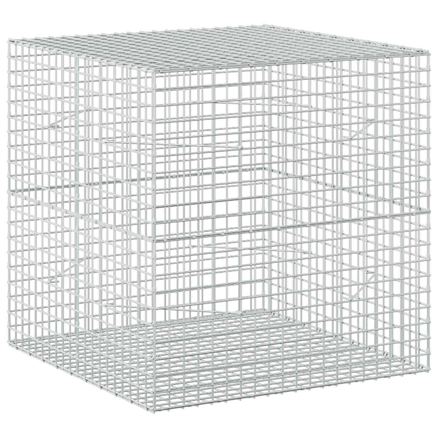 vidaXL Γκαμπιόν με σύρμα 5 mm και πλέγμα 5x5 cm 100x100x100 εκ.