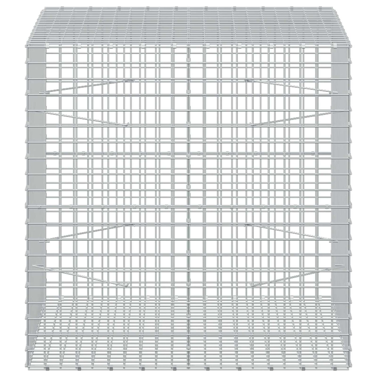 vidaXL Γκαμπιόν με σύρμα 5 mm και πλέγμα 5x5 cm 100x100x100 εκ.