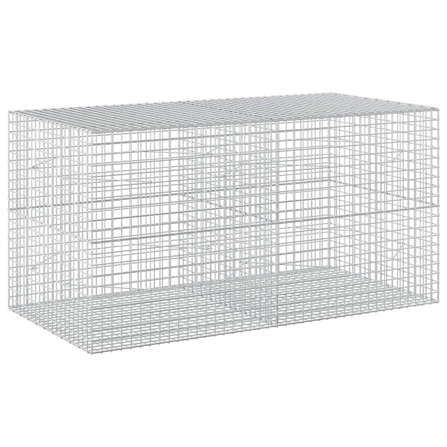 vidaXL Γκαμπιόν με σύρμα 5 mm και πλέγμα 5x5 cm 200x100x100 εκ.