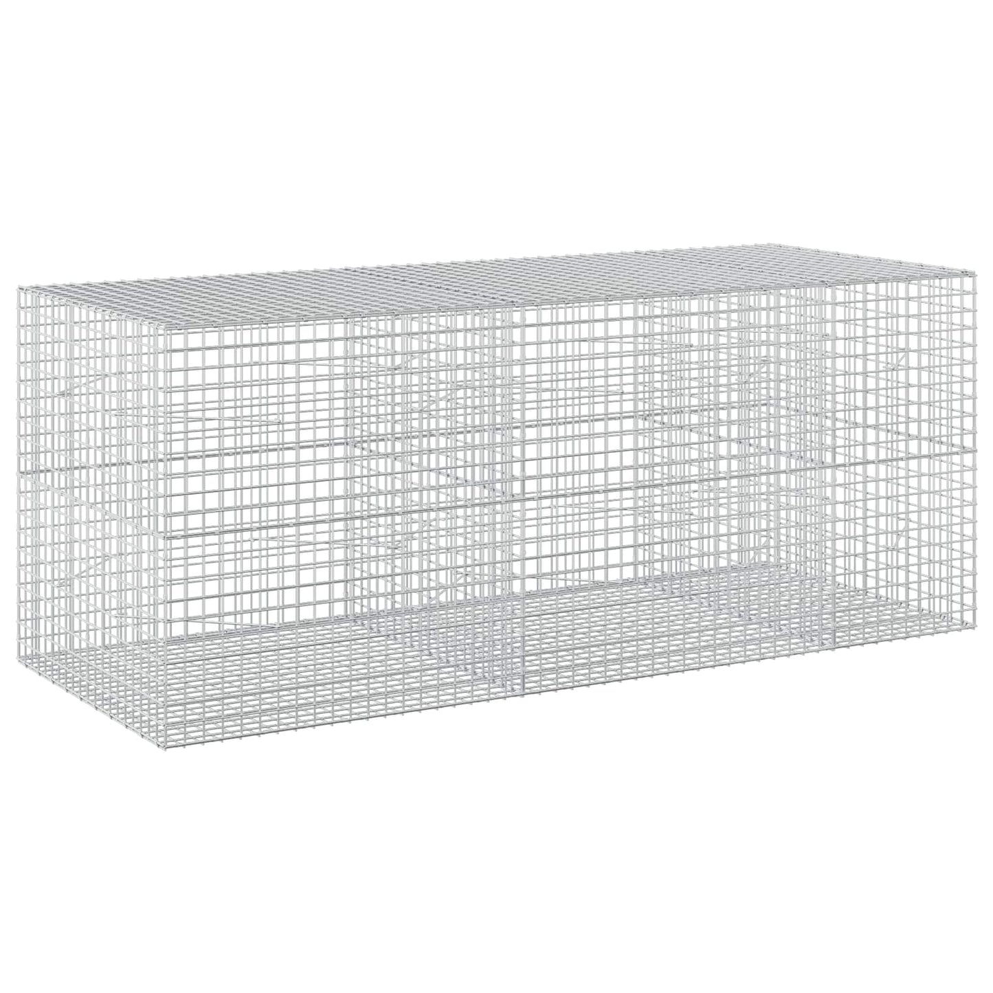 vidaXL Γκαμπιόν με σύρμα 5 mm και πλέγμα 5x5 cm 250x100x100 εκ.