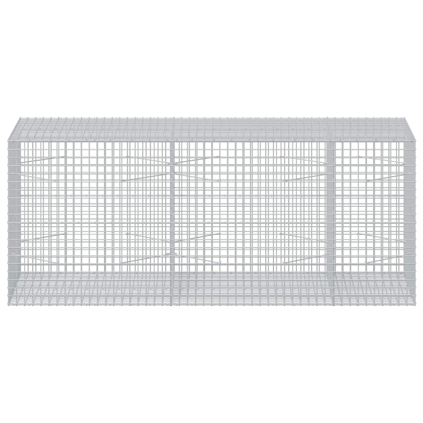 vidaXL Γκαμπιόν με σύρμα 5 mm και πλέγμα 5x5 cm 250x100x100 εκ.