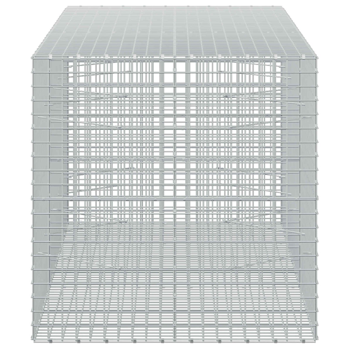 vidaXL Γκαμπιόν με σύρμα 5 mm και πλέγμα 5x5 cm 250x100x100 εκ.