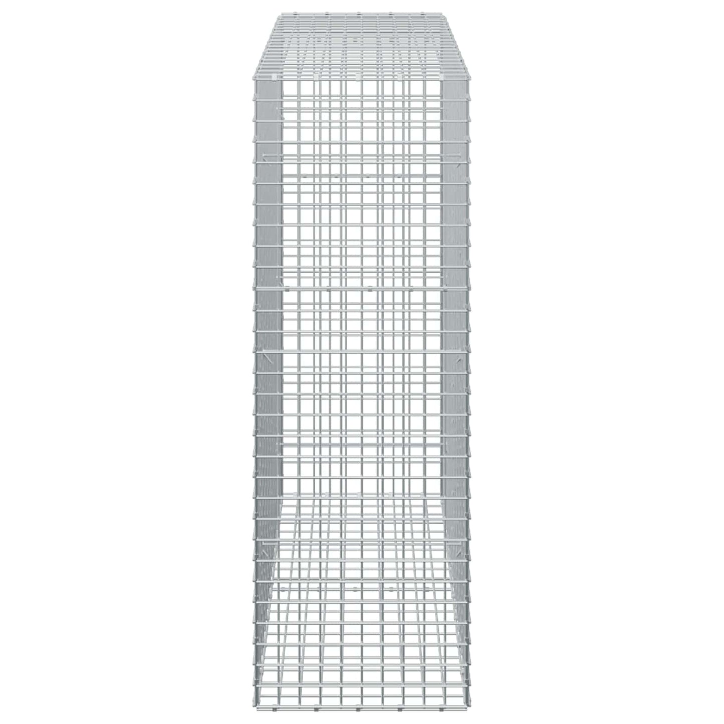 vidaXL Γκαμπιόν με σύρμα 5 mm και πλέγμα 5x5 cm 50x100x150 εκ.