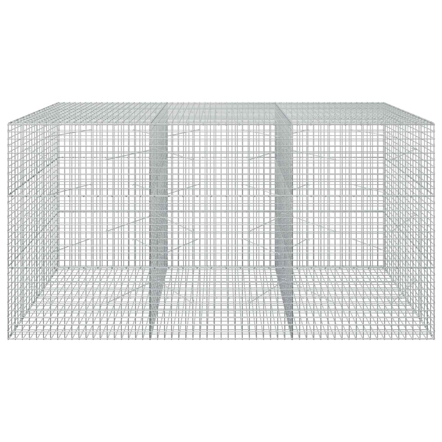 vidaXL Γκαμπιόν με σύρμα 5 mm και πλέγμα 5x5 cm 300x100x150 εκ