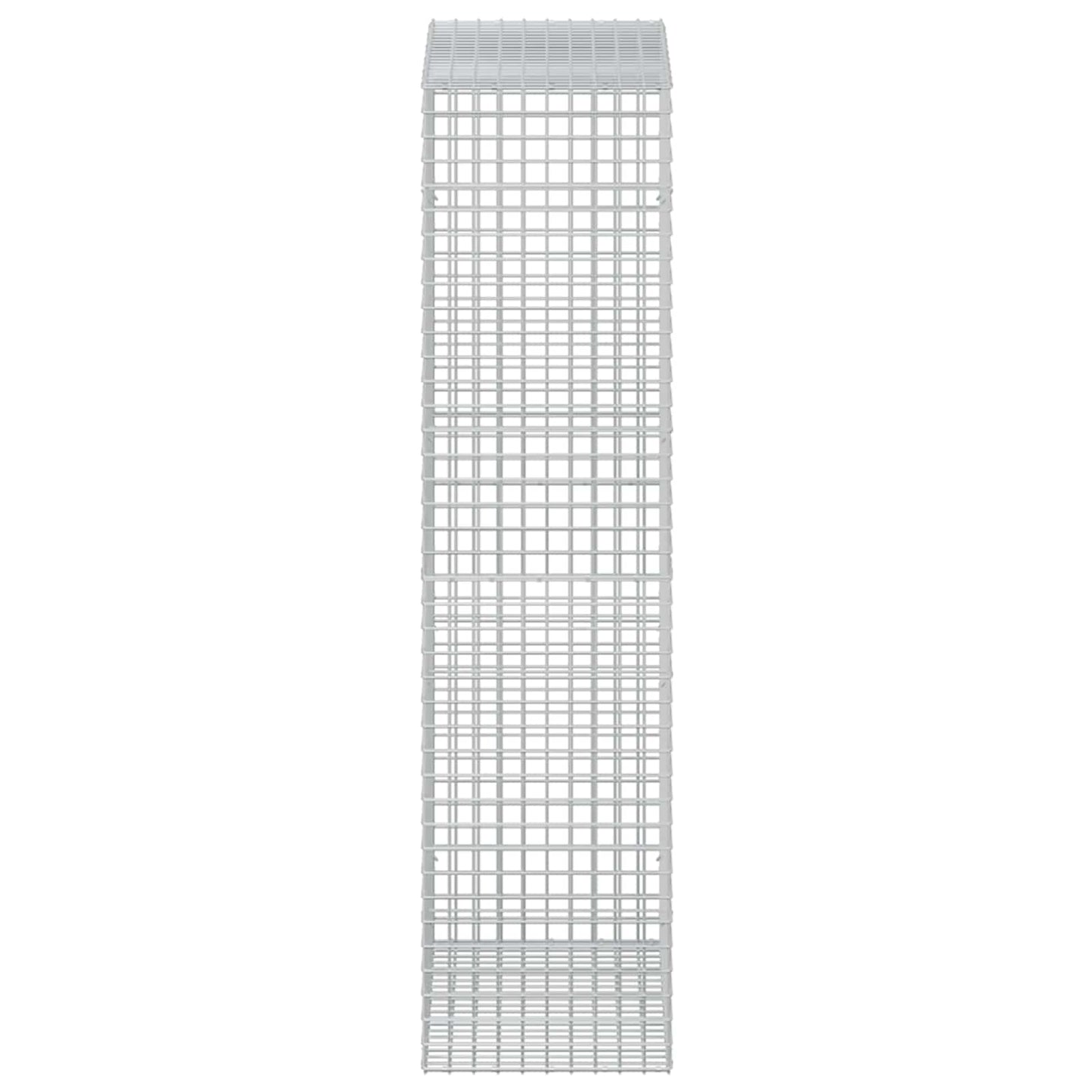 vidaXL Γκαμπιόν με σύρμα 5 mm και πλέγμα 5x5 cm 50x100x200 εκ