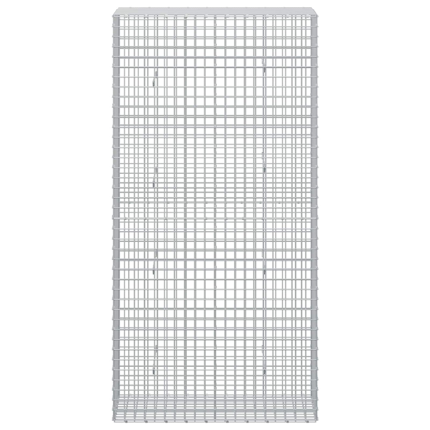 vidaXL Γκαμπιόν με σύρμα 5 mm και πλέγμα 5x5 cm 50x100x200 εκ