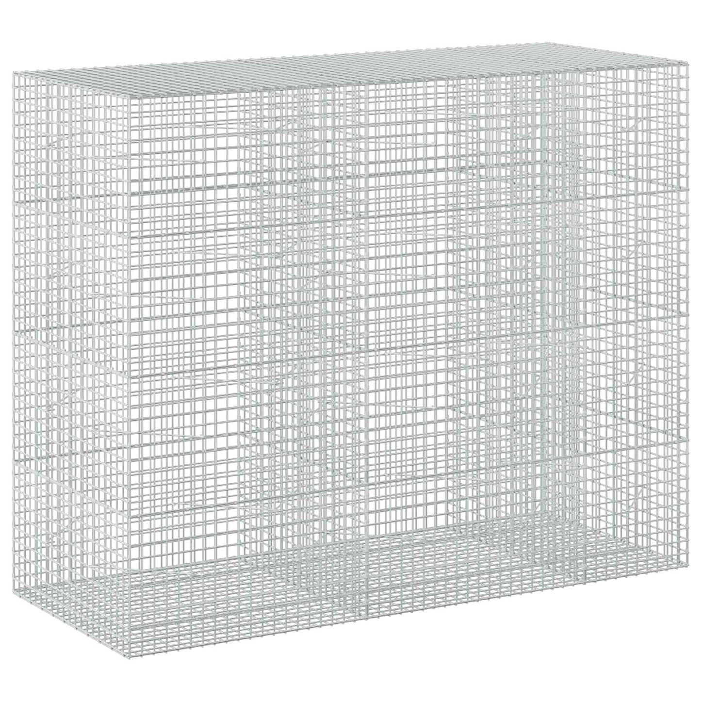 vidaXL Γκαμπιόν με σύρμα 5 mm και πλέγμα 5x5 cm 250x100x200 εκ.
