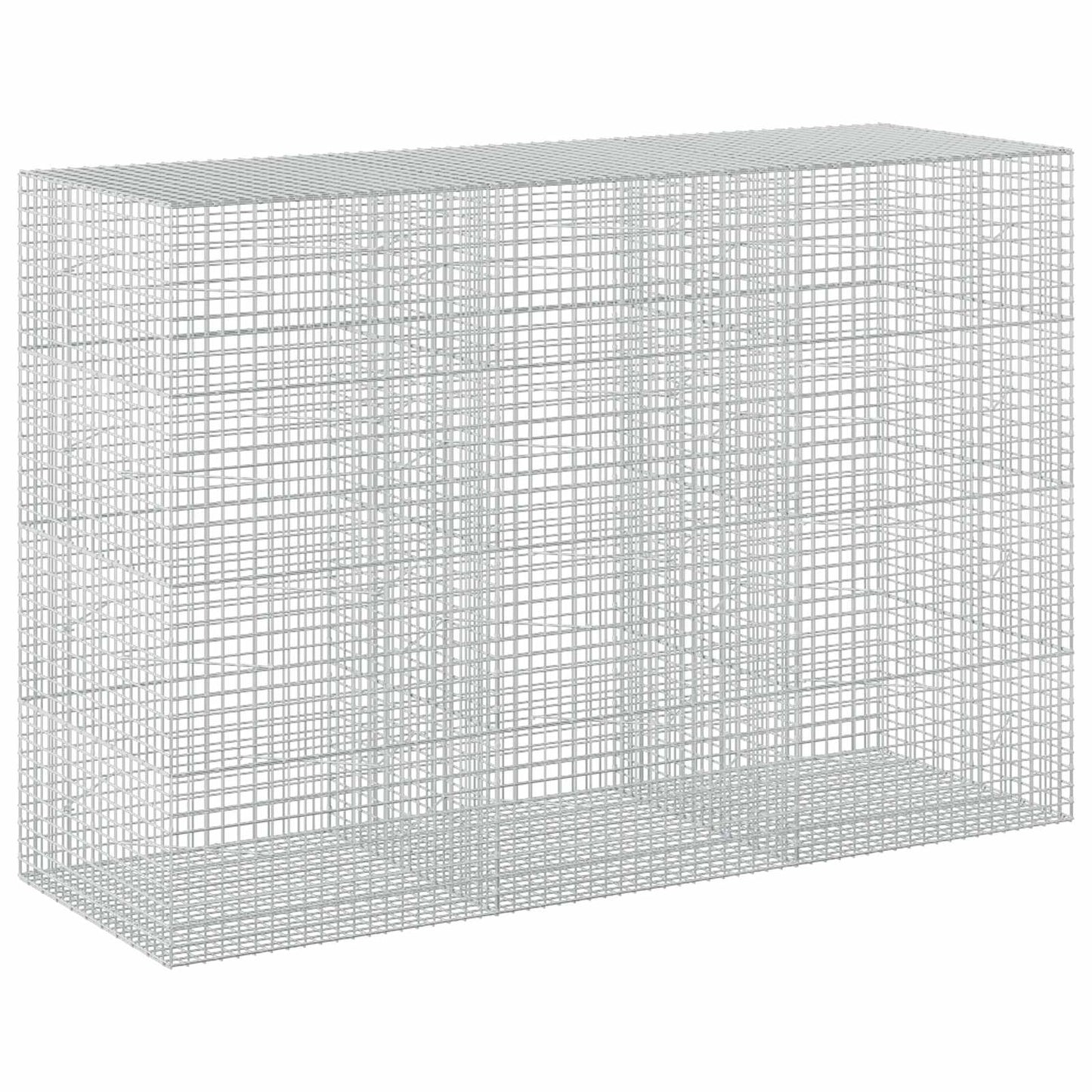 vidaXL Γκαμπιόν με σύρμα 5 mm και πλέγμα 5x5 cm 300x100x200 εκ