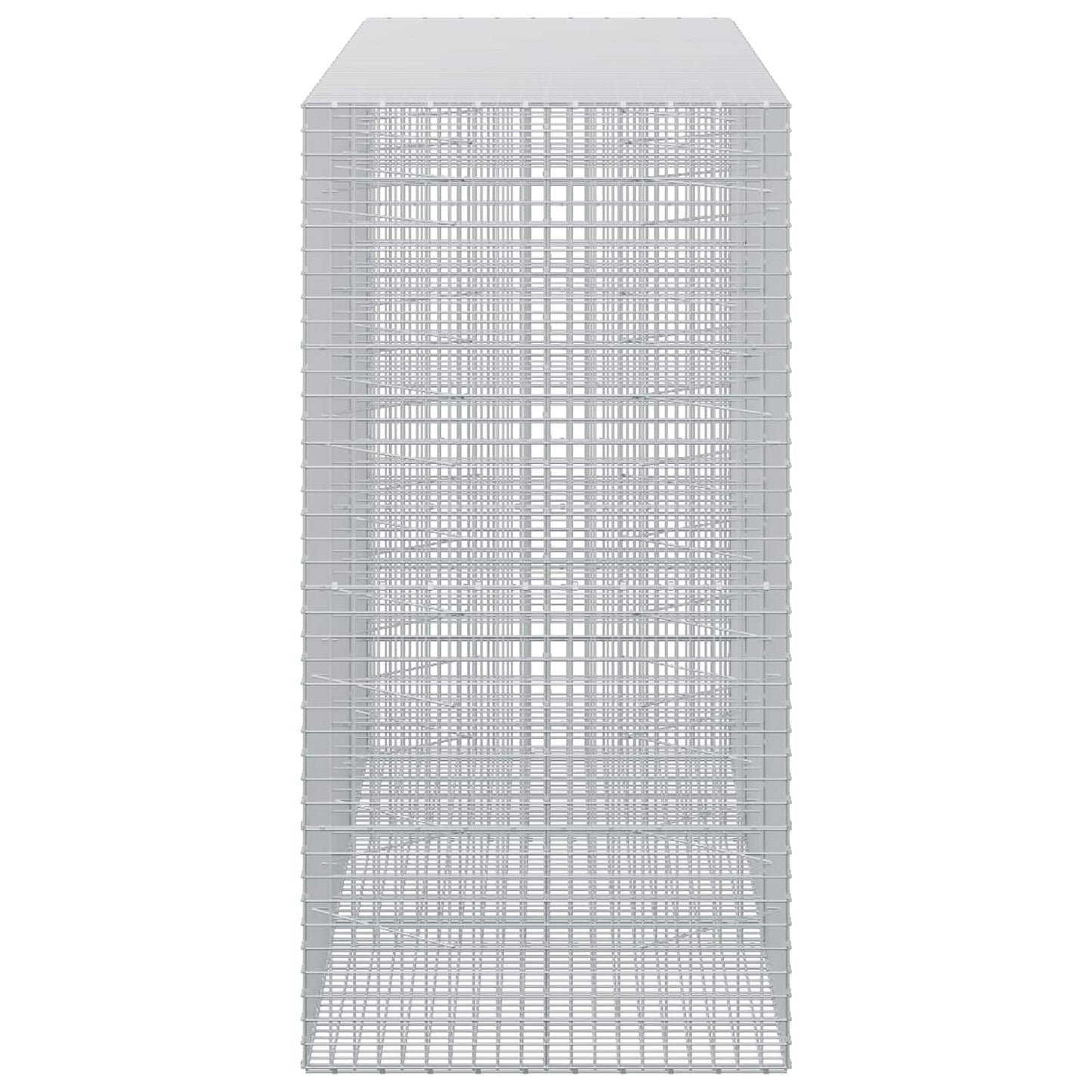 vidaXL Γκαμπιόν με σύρμα 5 mm και πλέγμα 5x5 cm 300x100x200 εκ