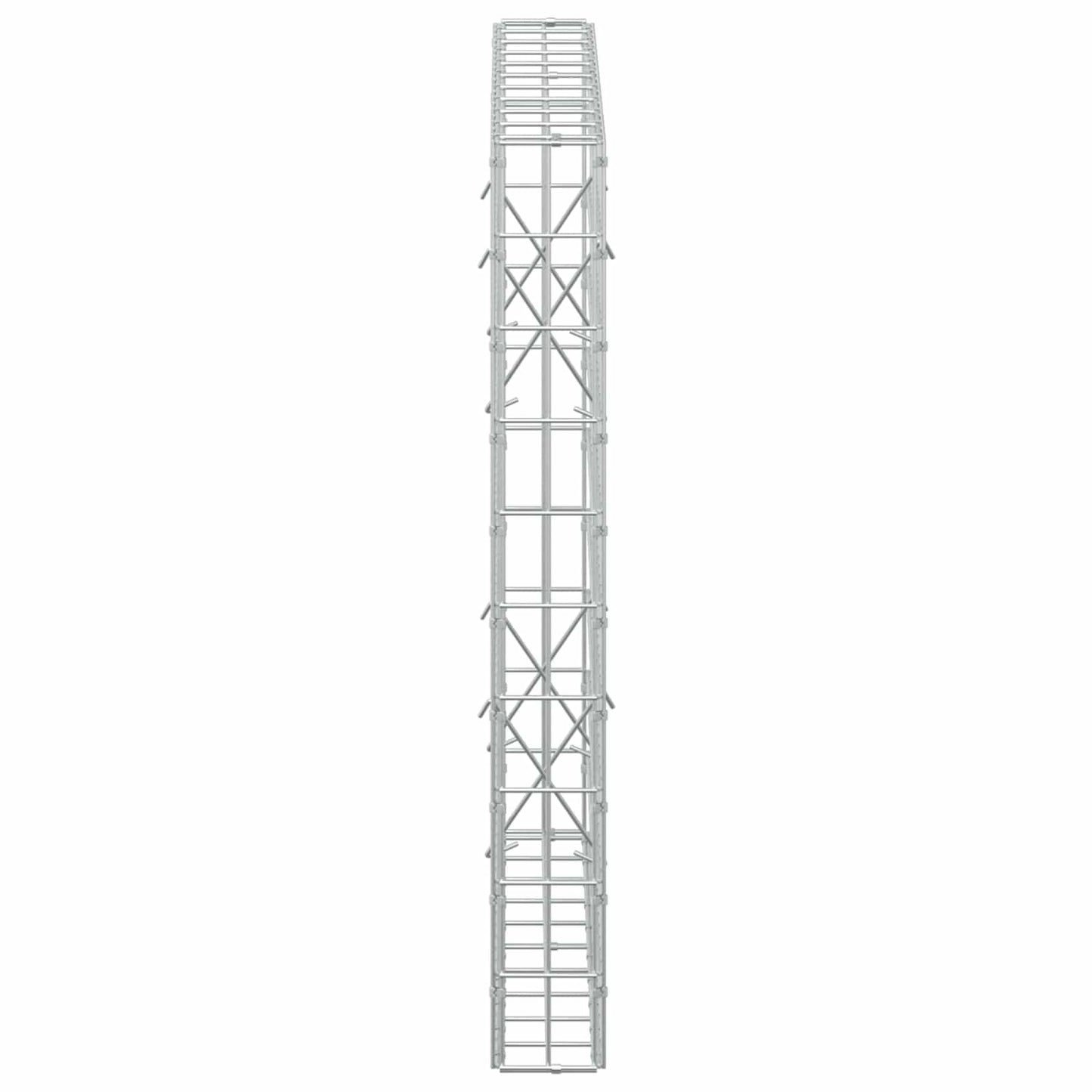 vidaXL Γκαμπιόν με σύρμα 5 mm και πλέγμα 5x10 cm 100x10x100 εκ.