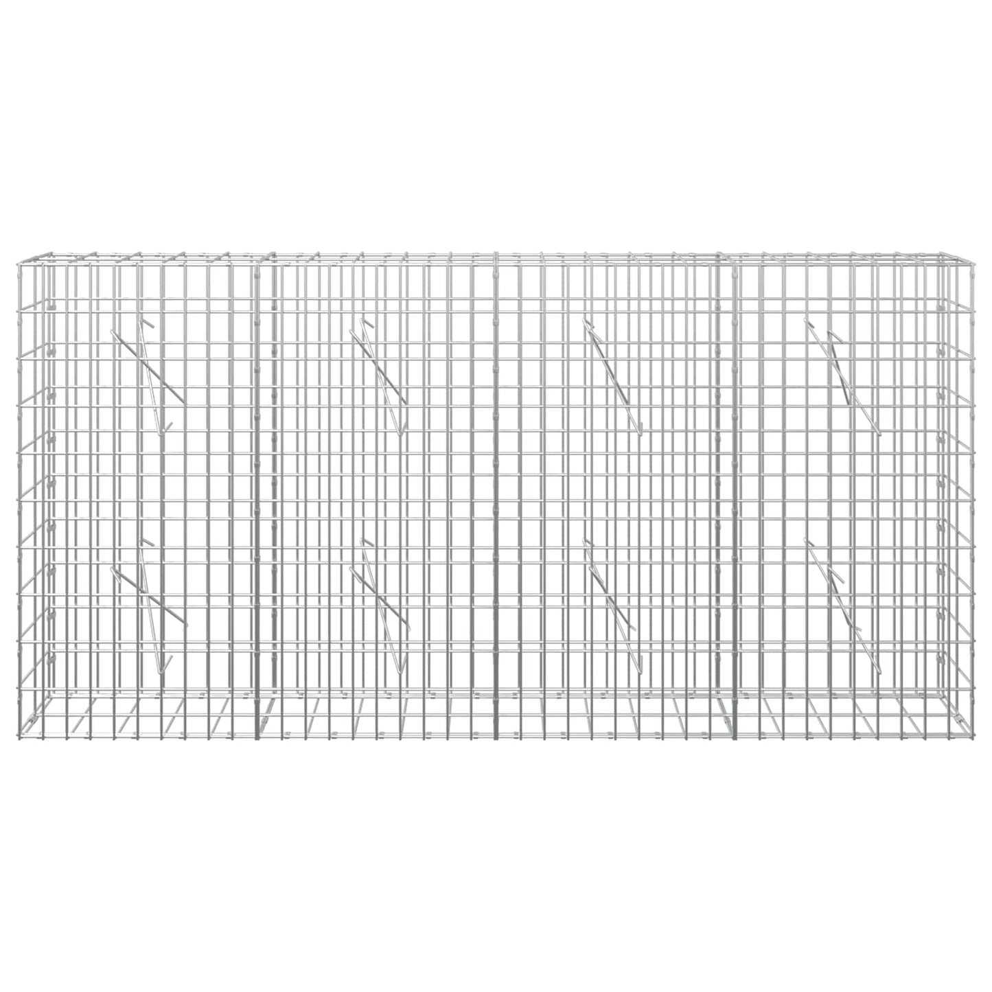 vidaXL Γκαμπιόν με σύρμα 5 mm και πλέγμα 5x10 cm 200x10x100 εκ
