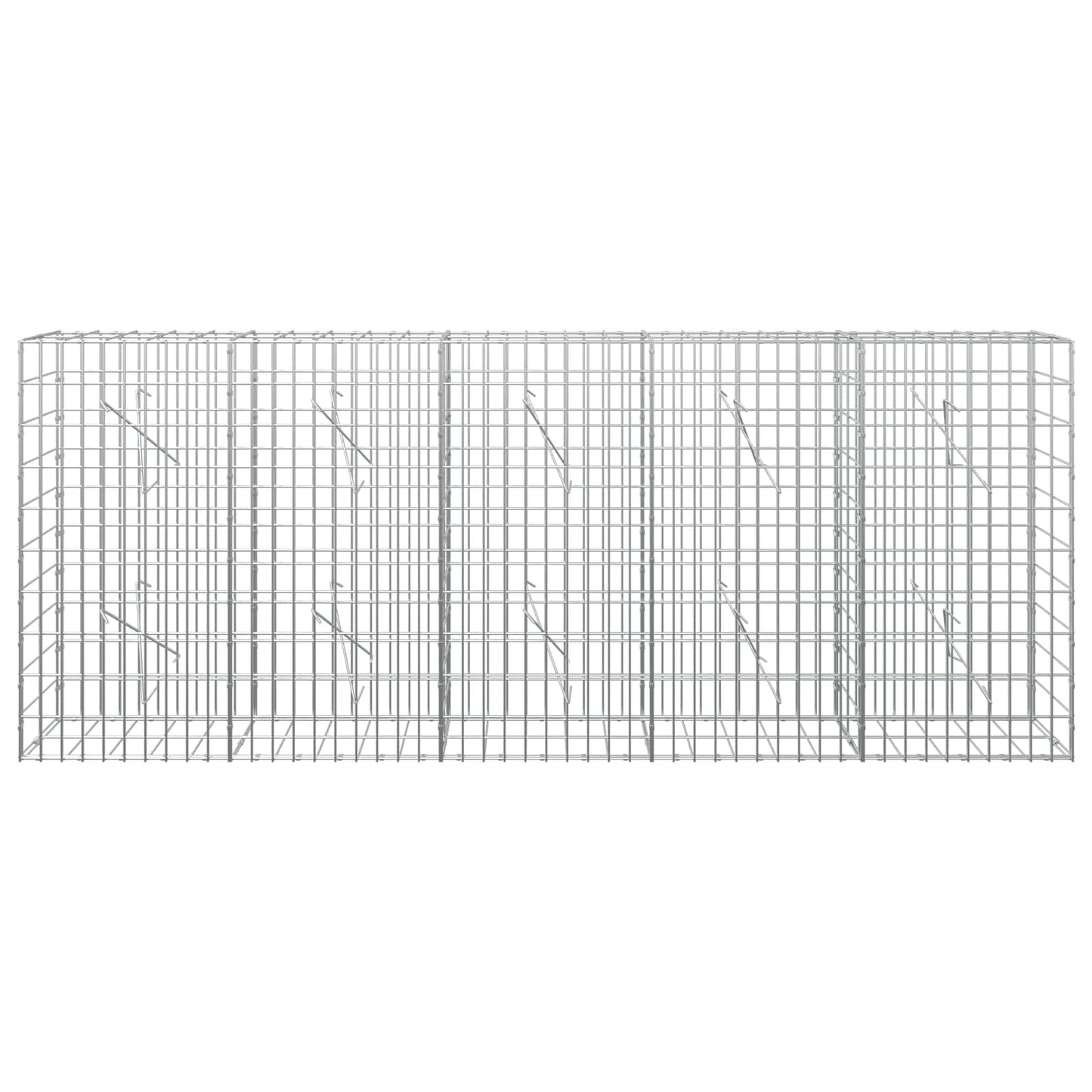 vidaXL Γκαμπιόν με σύρμα 5 mm και πλέγμα 5x10 cm 250x10x100 εκ