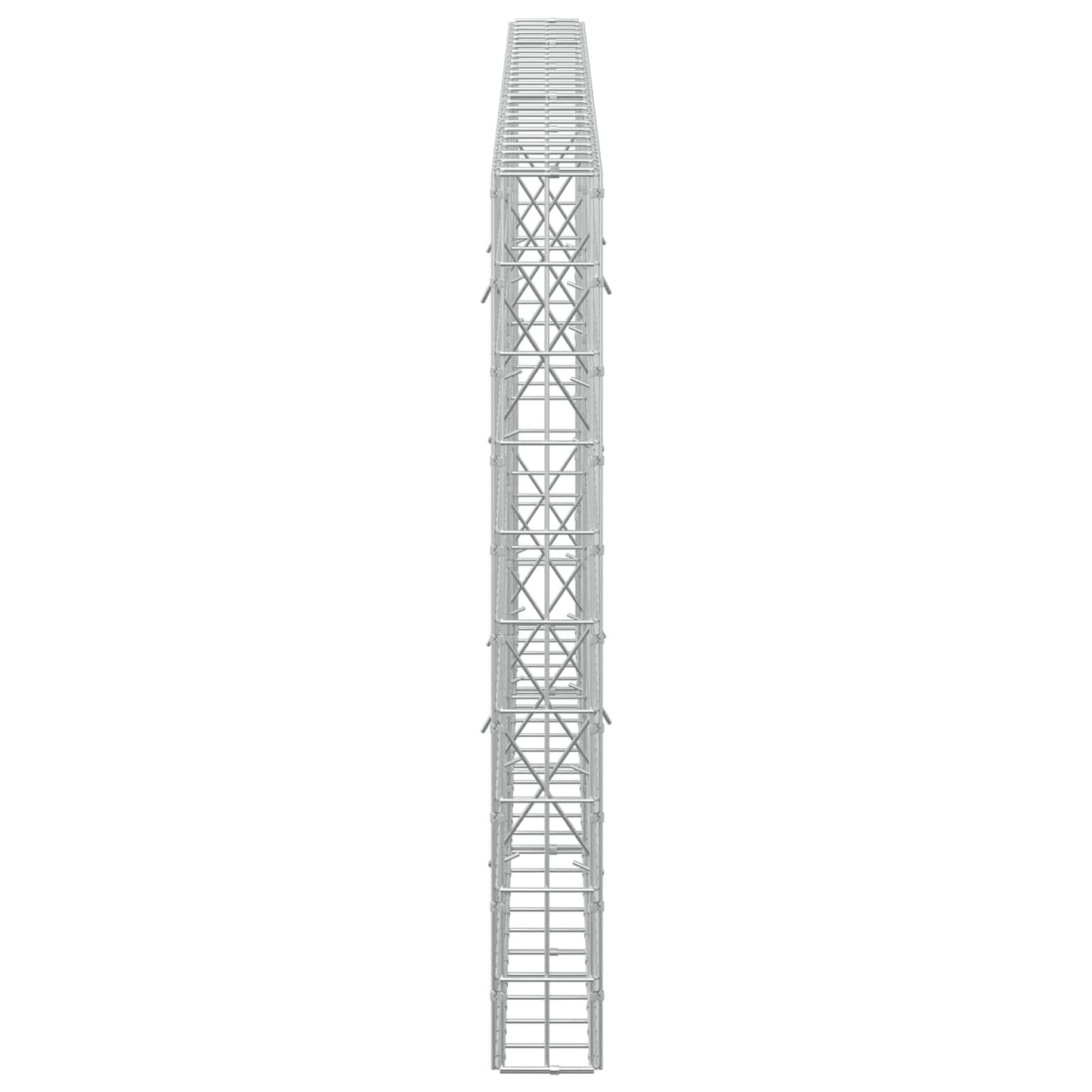 vidaXL Γκαμπιόν με σύρμα 5 mm και πλέγμα 5x10 cm 250x10x100 εκ