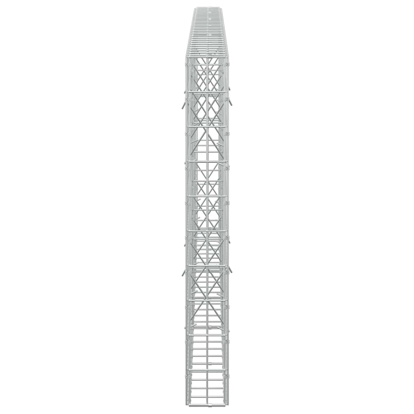 vidaXL Γκαμπιόν με σύρμα 5 mm και πλέγμα 5x10 cm 300x10x100 εκ