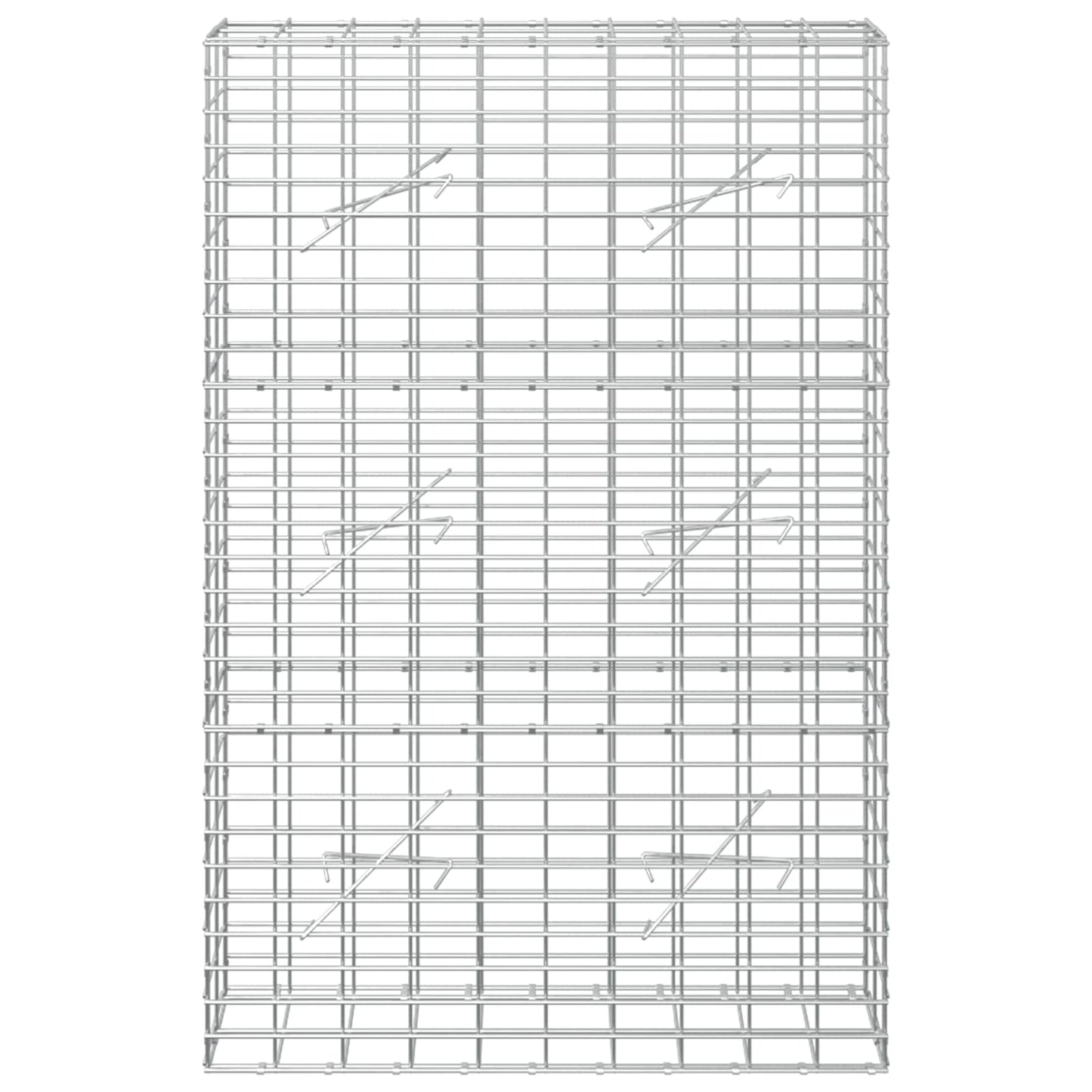 vidaXL Γκαμπιόν με σύρμα 5 mm και πλέγμα 5x10 cm 100x10x150 εκ