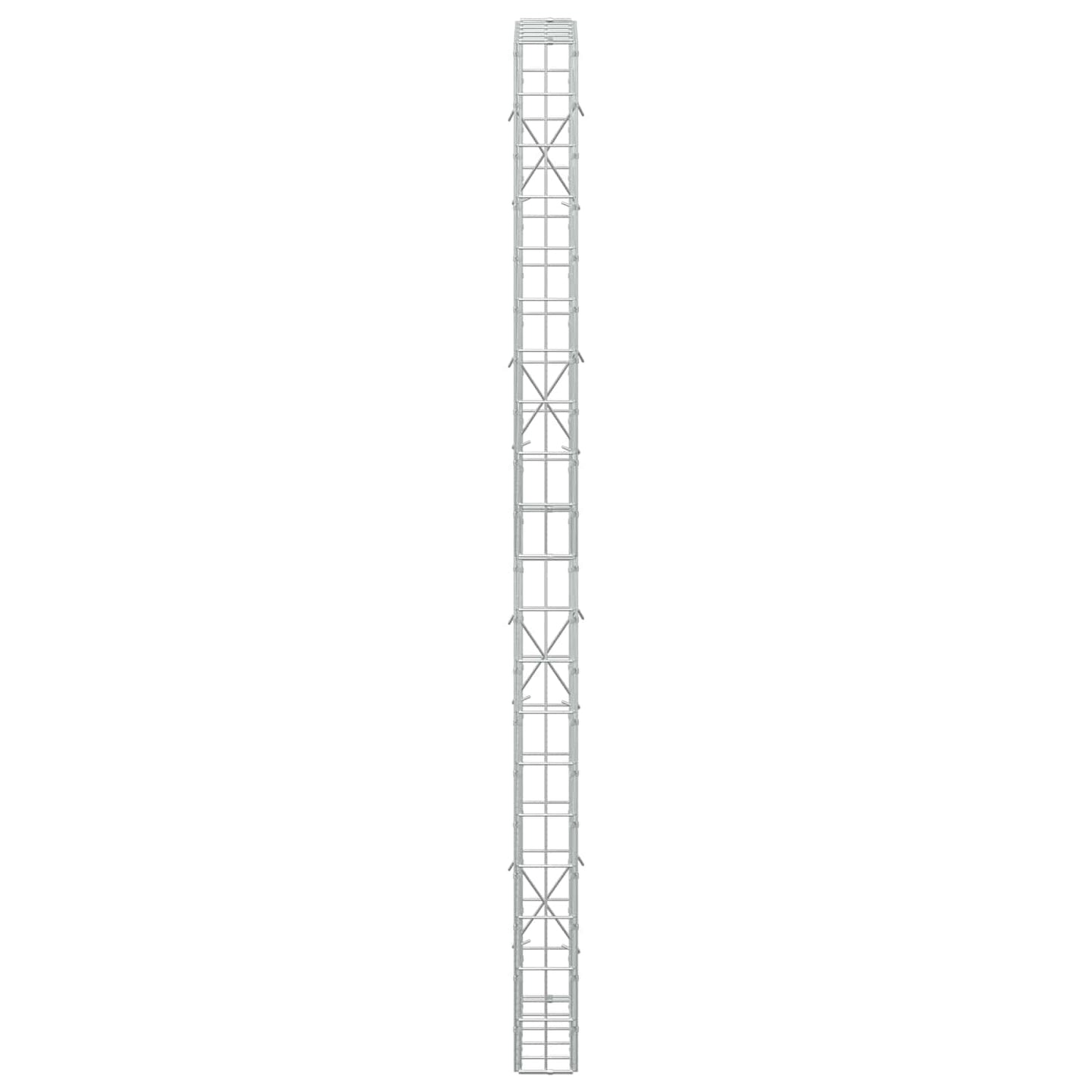 vidaXL Γκαμπιόν με σύρμα 5 mm και πλέγμα 5x10 cm 50x10x200 εκ
