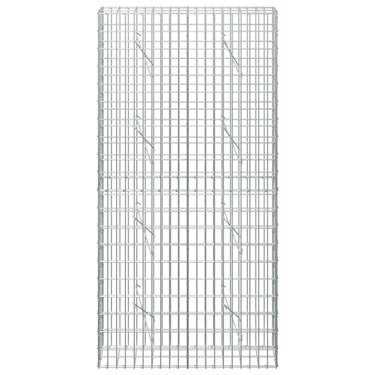 vidaXL Γκαμπιόν με σύρμα 5 mm και πλέγμα 5x10 cm 100x10x200 εκ