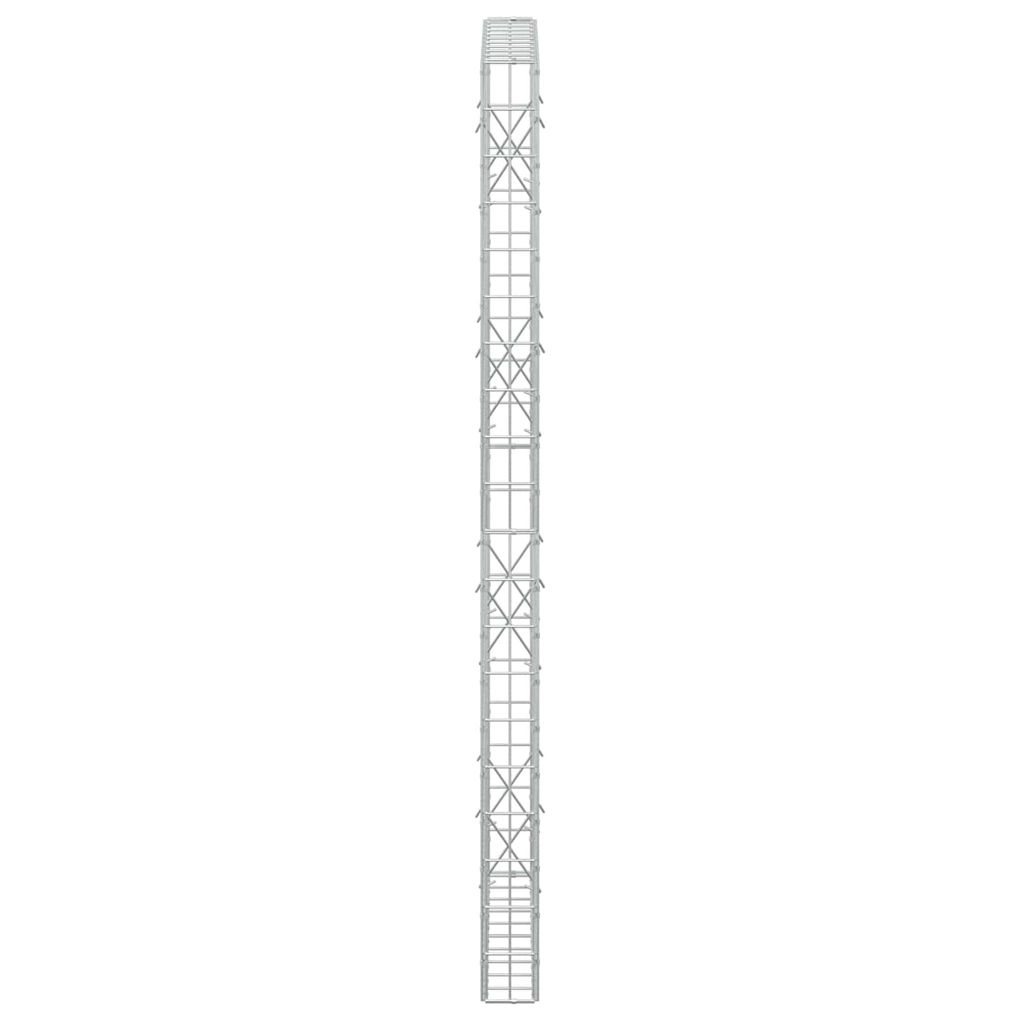vidaXL Γκαμπιόν με σύρμα 5 mm και πλέγμα 5x10 cm 100x10x200 εκ