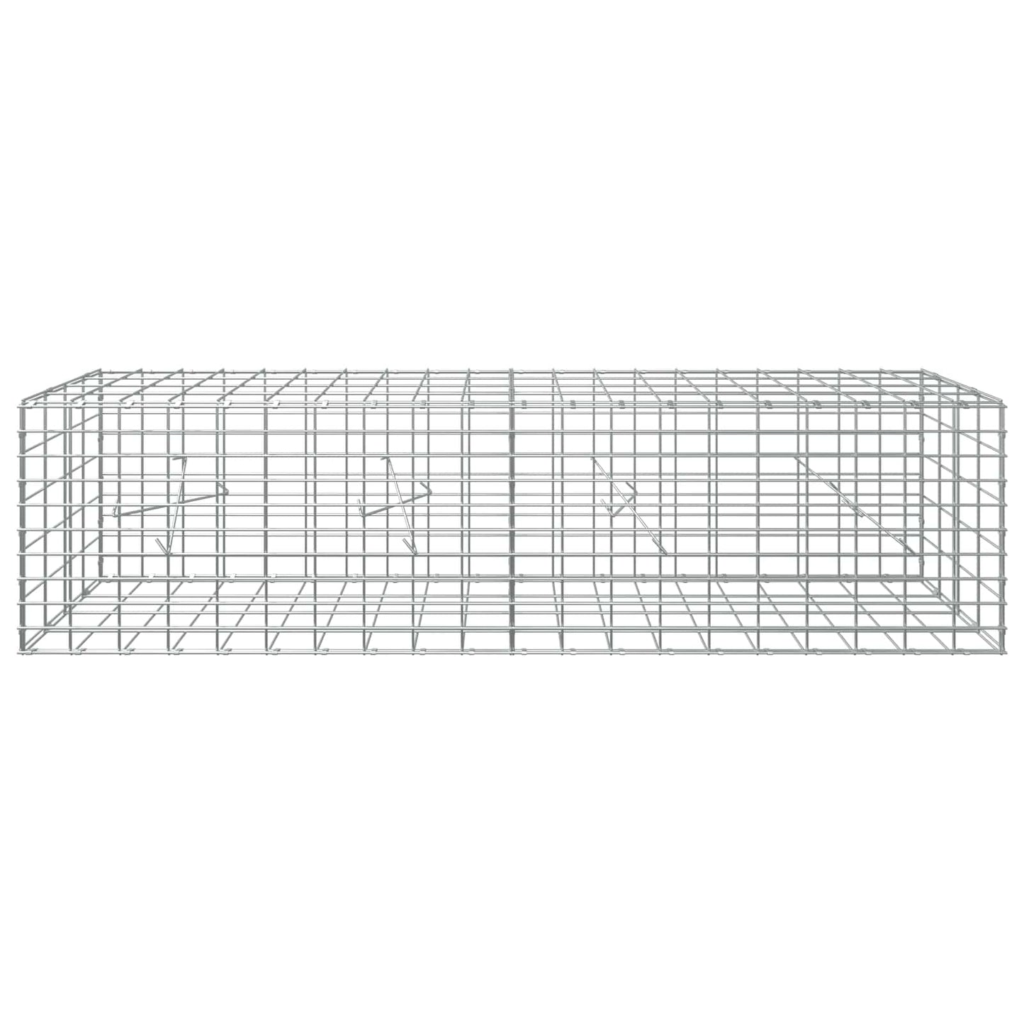 vidaXL Γκαμπιόν με σύρμα 5 mm και πλέγμα 5x10 cm 200x20x50 εκ
