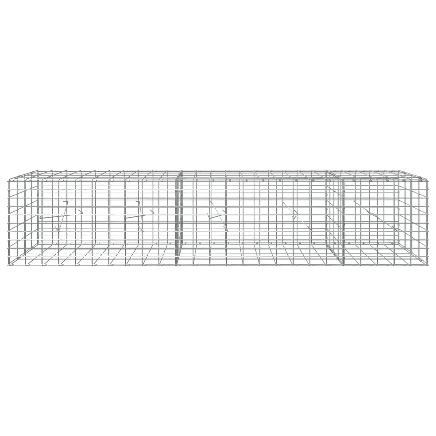 vidaXL Γκαμπιόν με σύρμα 5 mm και πλέγμα 5x10 cm 250x20x50 εκ
