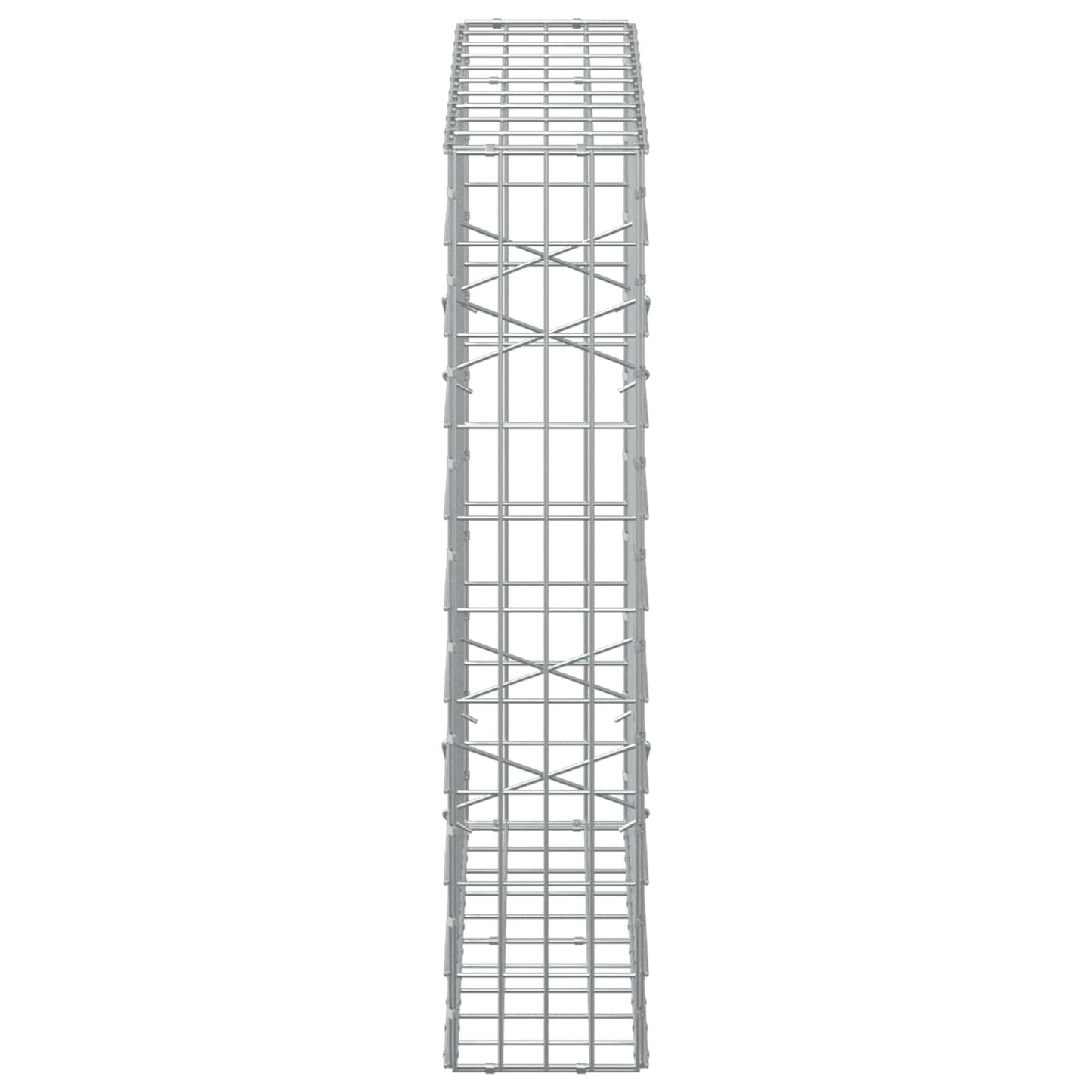 vidaXL Γκαμπιόν με σύρμα 5 mm και πλέγμα 5x10 cm 100x20x100 εκ.