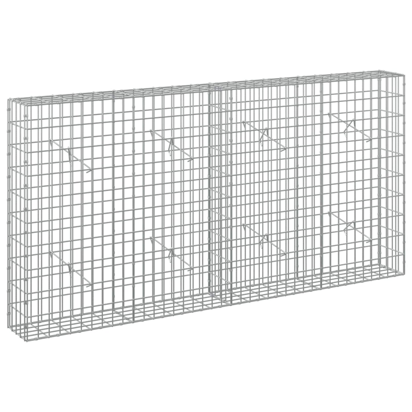 vidaXL Γκαμπιόν με σύρμα 5 mm και πλέγμα 5x10 cm 200x20x100 εκ
