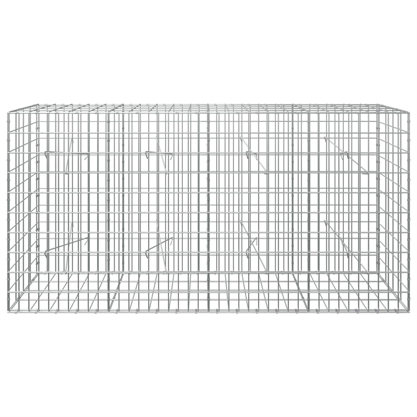 vidaXL Γκαμπιόν με σύρμα 5 mm και πλέγμα 5x10 cm 200x20x100 εκ