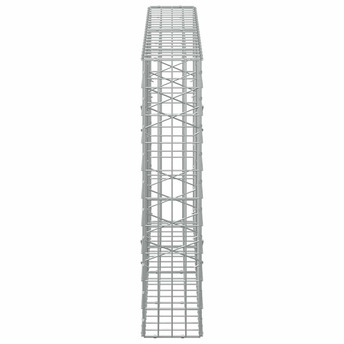 vidaXL Γκαμπιόν με σύρμα 5 mm και πλέγμα 5x10 cm 200x20x100 εκ