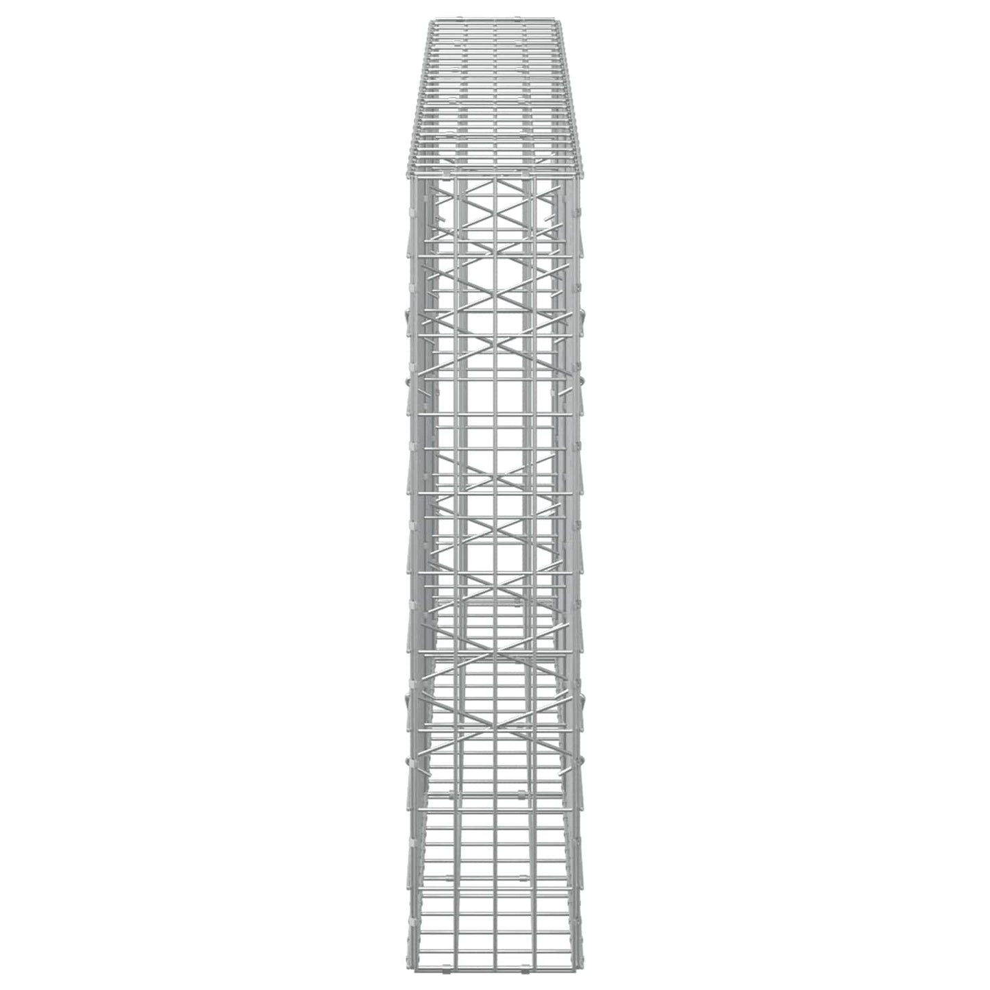 vidaXL Γκαμπιόν με σύρμα 5 mm και πλέγμα 5x10 cm 250x20x100 εκ