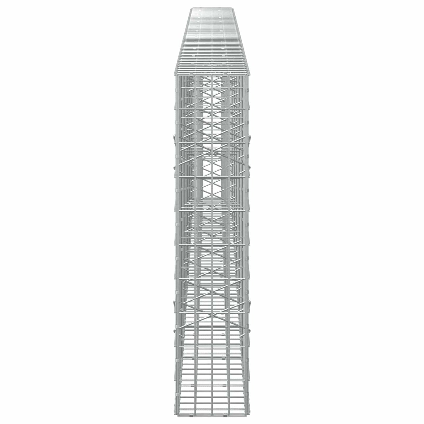 vidaXL Γκαμπιόν με σύρμα 5 mm και πλέγμα 5x10 cm 600x20x100 εκ