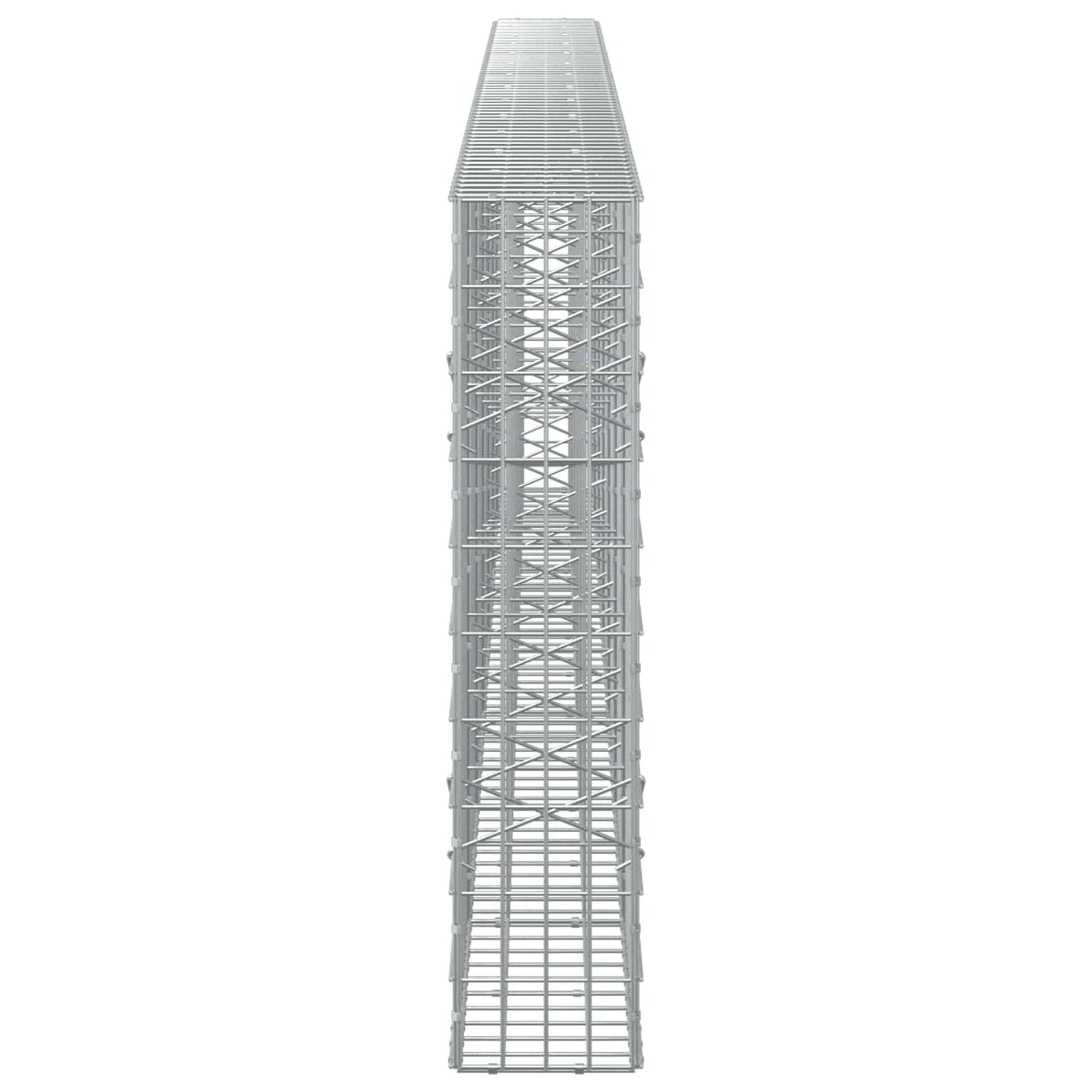 vidaXL Γκαμπιόν με σύρμα 5 mm και πλέγμα 5x10 cm 650x20x100 εκ