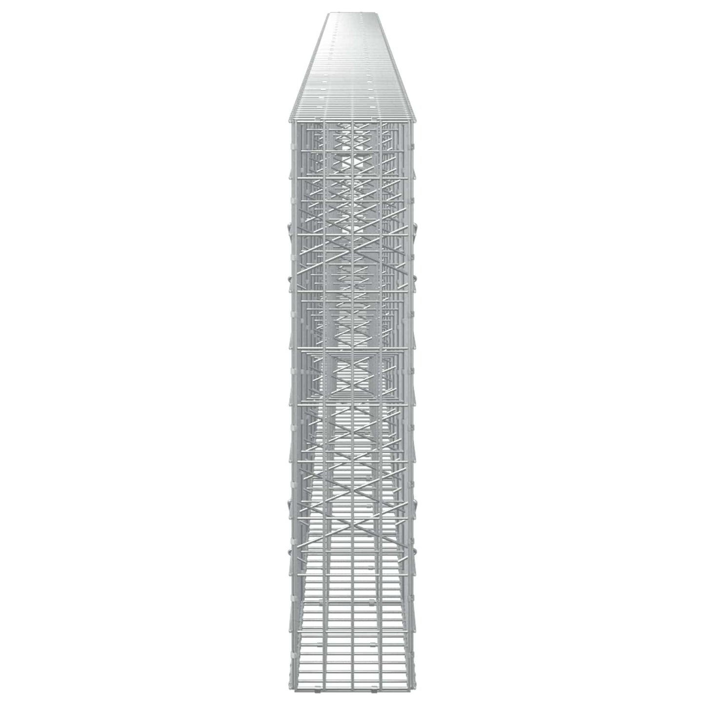 vidaXL Γκαμπιόν με σύρμα 5 mm και πλέγμα 5x10 cm 1200x20x100 εκ