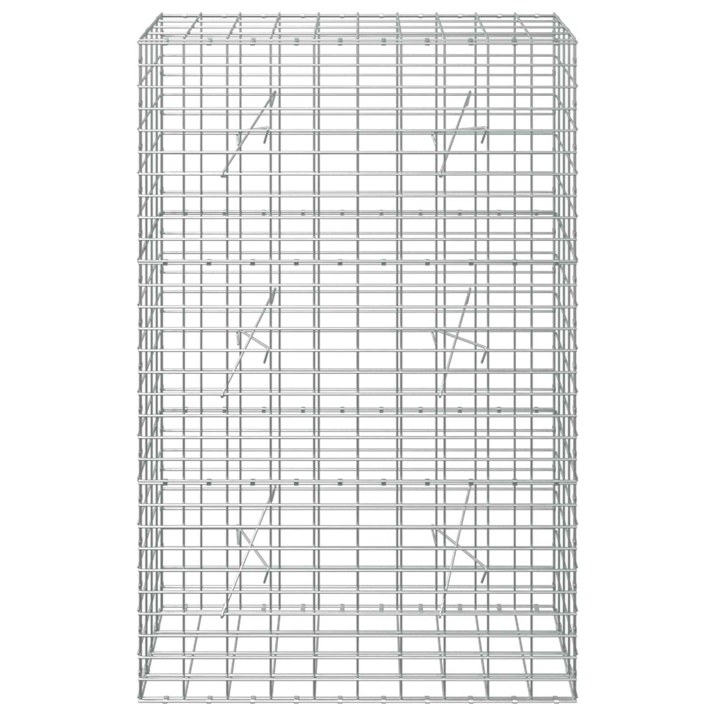 vidaXL Γκαμπιόν με σύρμα 5 mm και πλέγμα 5x10 cm 100x20x150 εκ