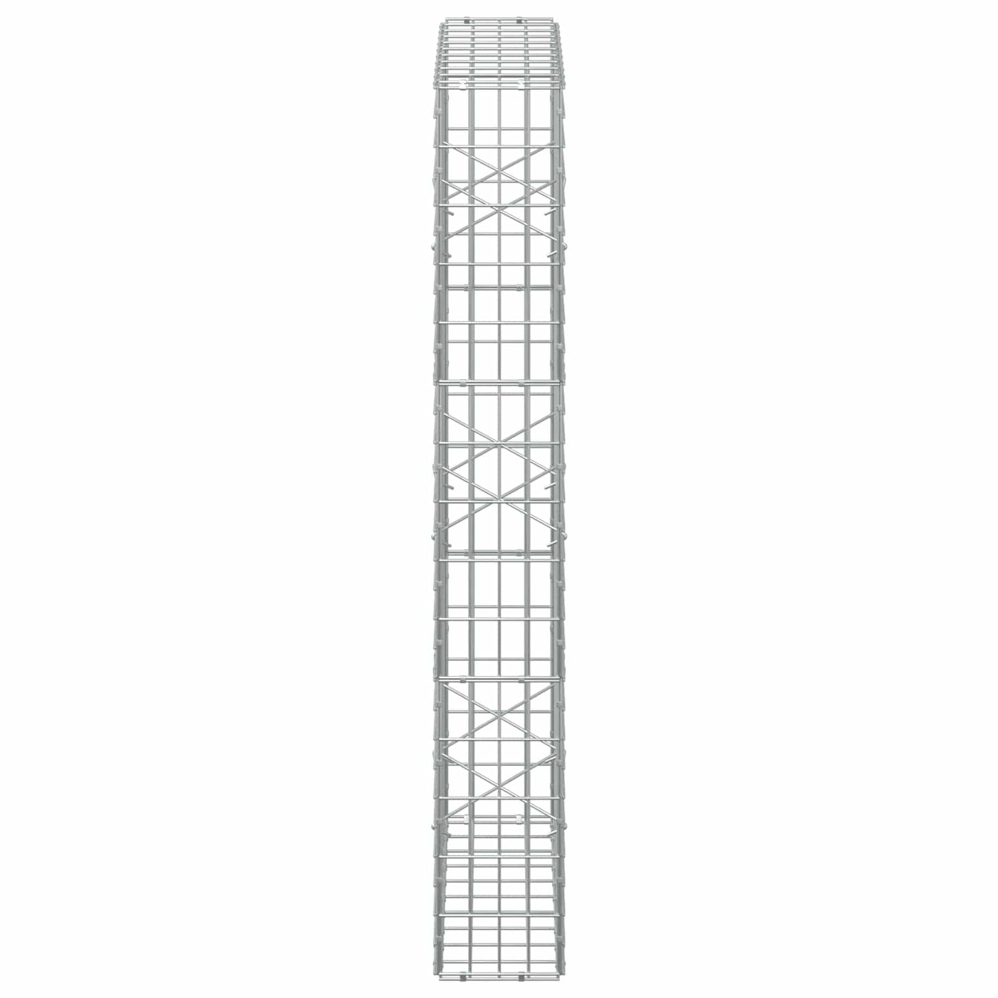 vidaXL Γκαμπιόν με σύρμα 5 mm και πλέγμα 5x10 cm 100x20x150 εκ