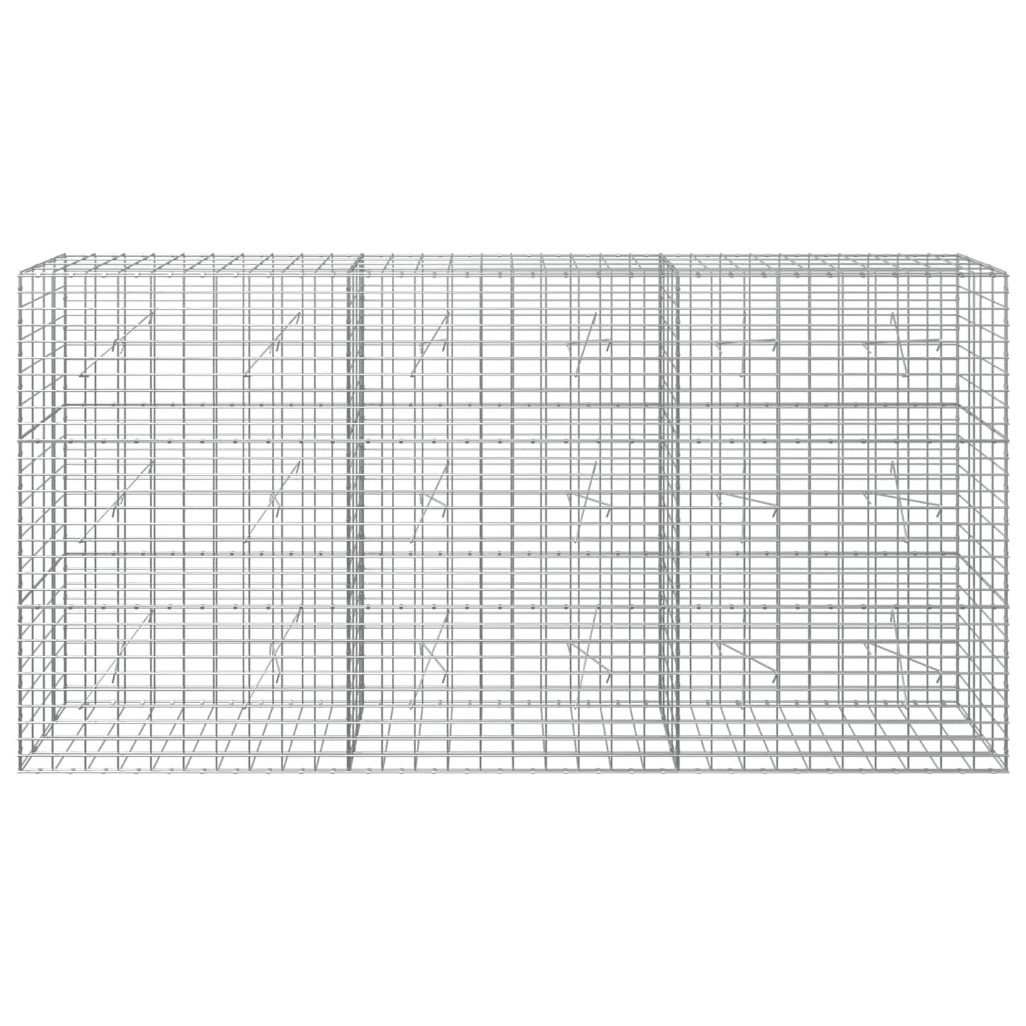 vidaXL Γκαμπιόν με σύρμα 5 mm και πλέγμα 5x10 cm 300x20x150 εκ