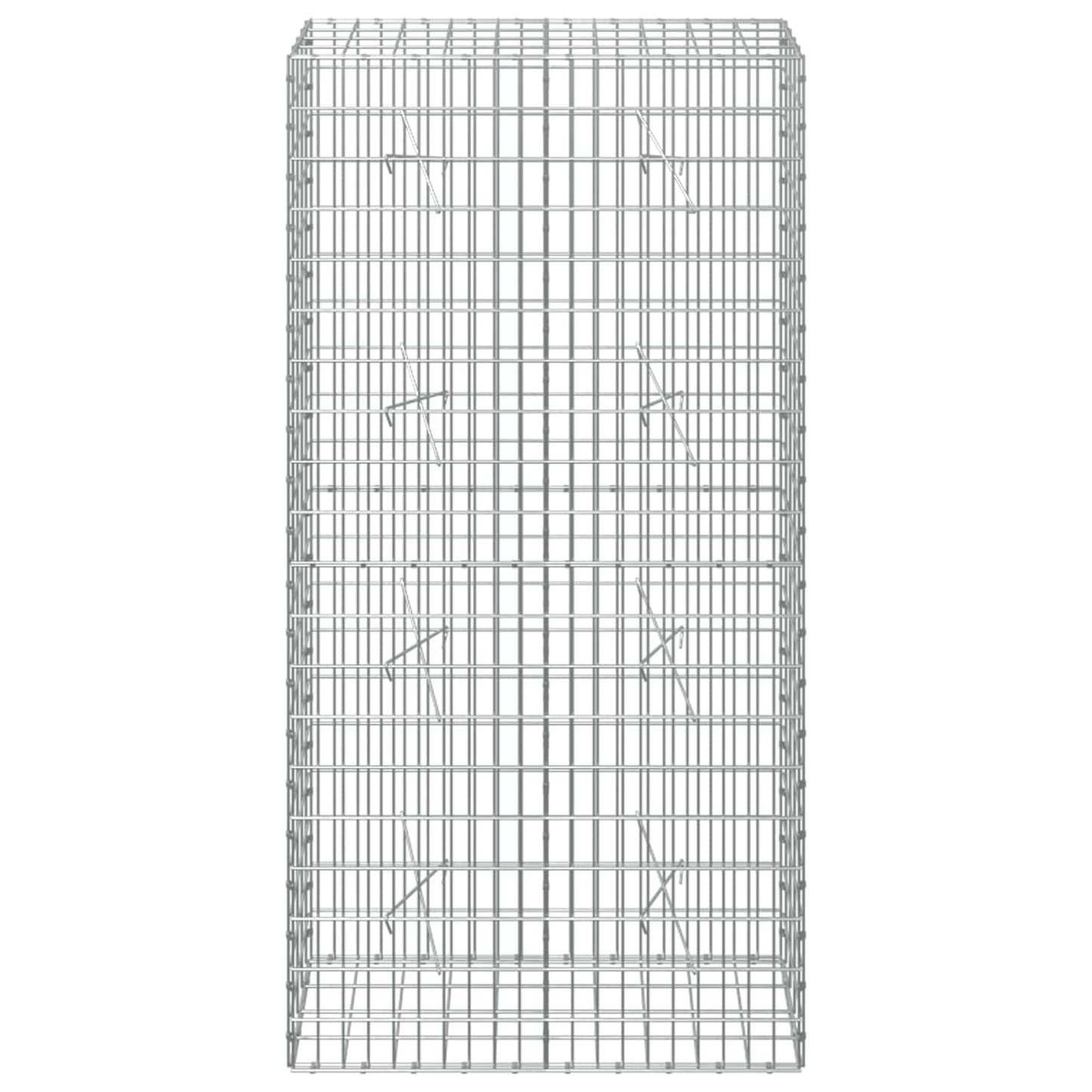 vidaXL Γκαμπιόν με σύρμα 5 mm και πλέγμα 5x10 cm 100x20x200 εκ