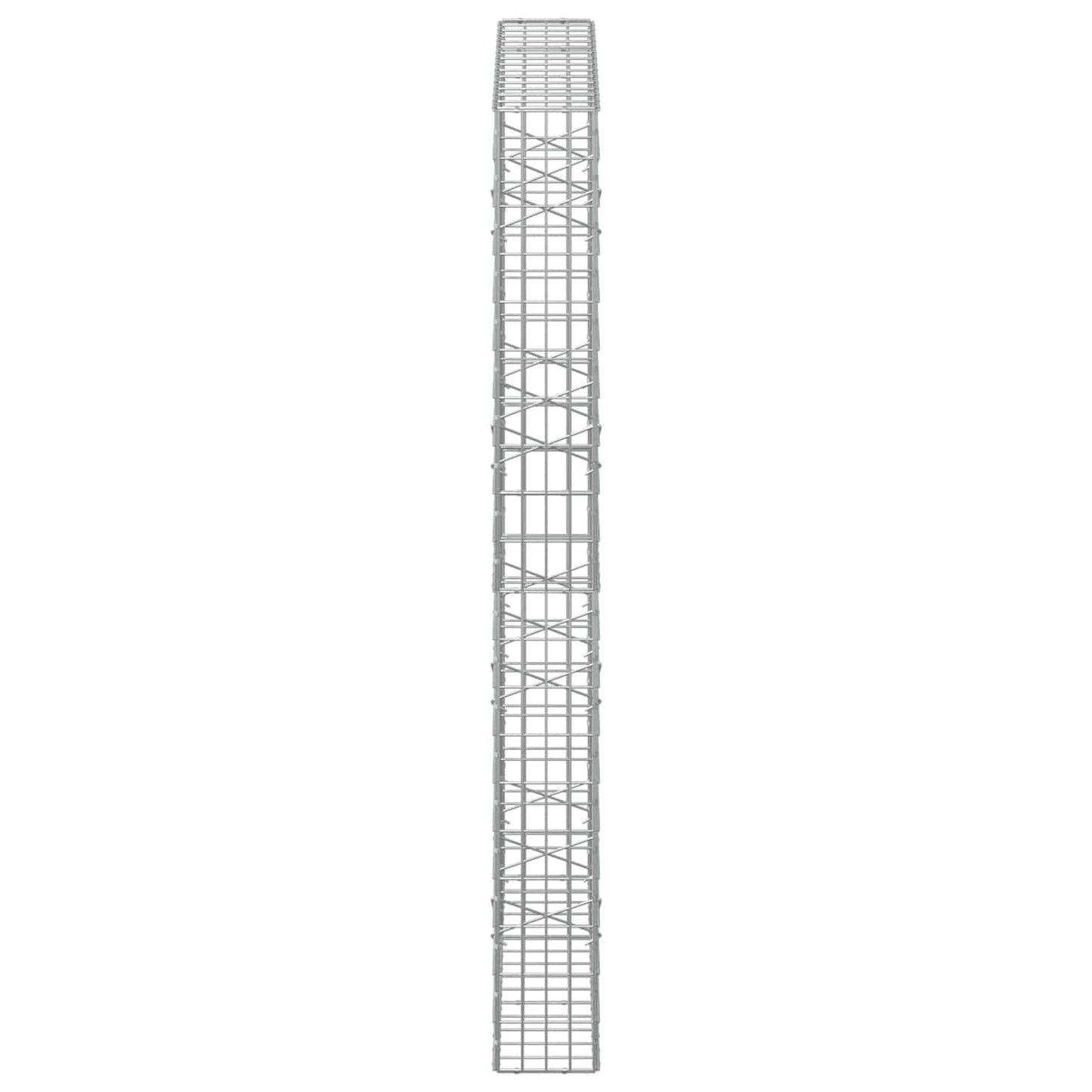 vidaXL Γκαμπιόν με σύρμα 5 mm και πλέγμα 5x10 cm 150x20x200 εκ