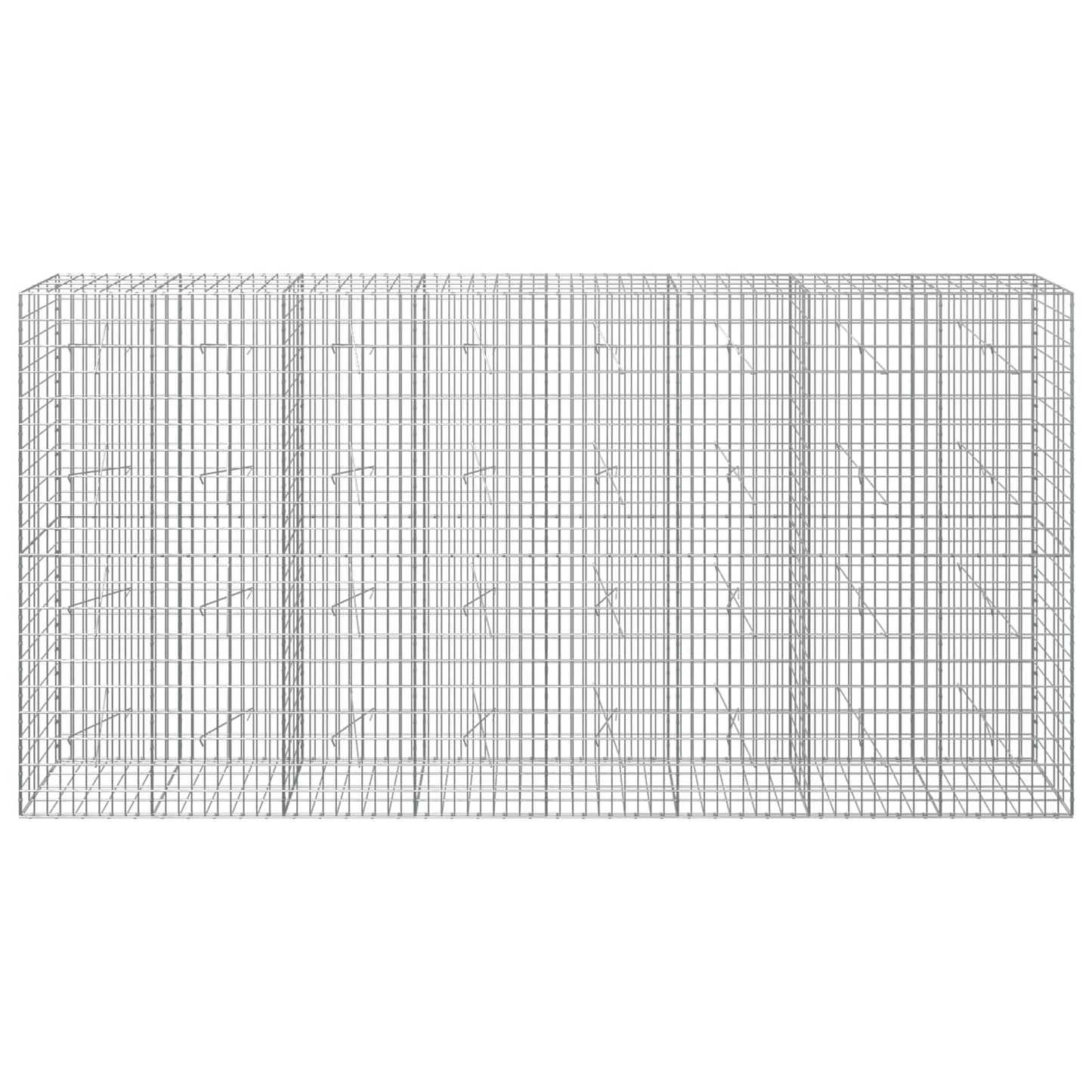 vidaXL Γκαμπιόν με σύρμα 5 mm και πλέγμα 5x10 cm 400x20x200 εκ