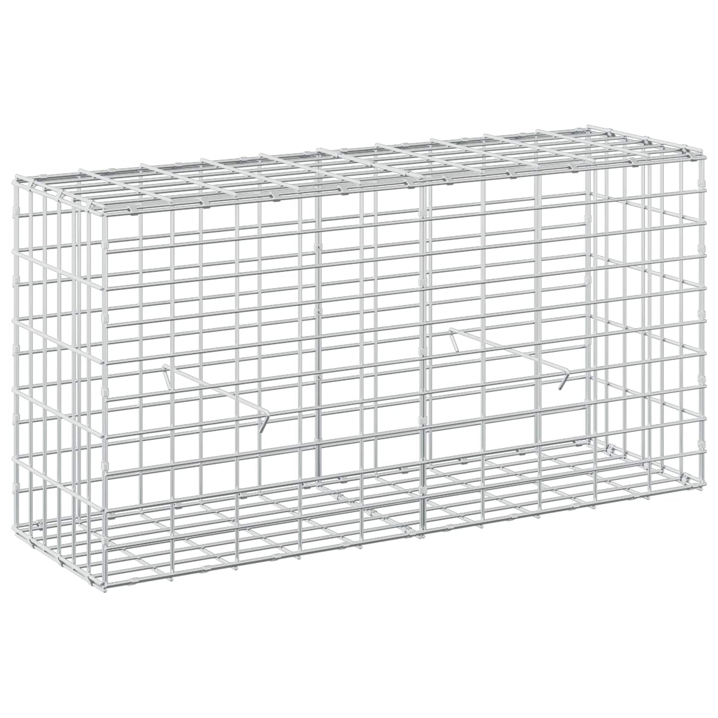 vidaXL Γκαμπιόν με σύρμα 5 mm και πλέγμα 5x10 cm 100x30x50 εκ