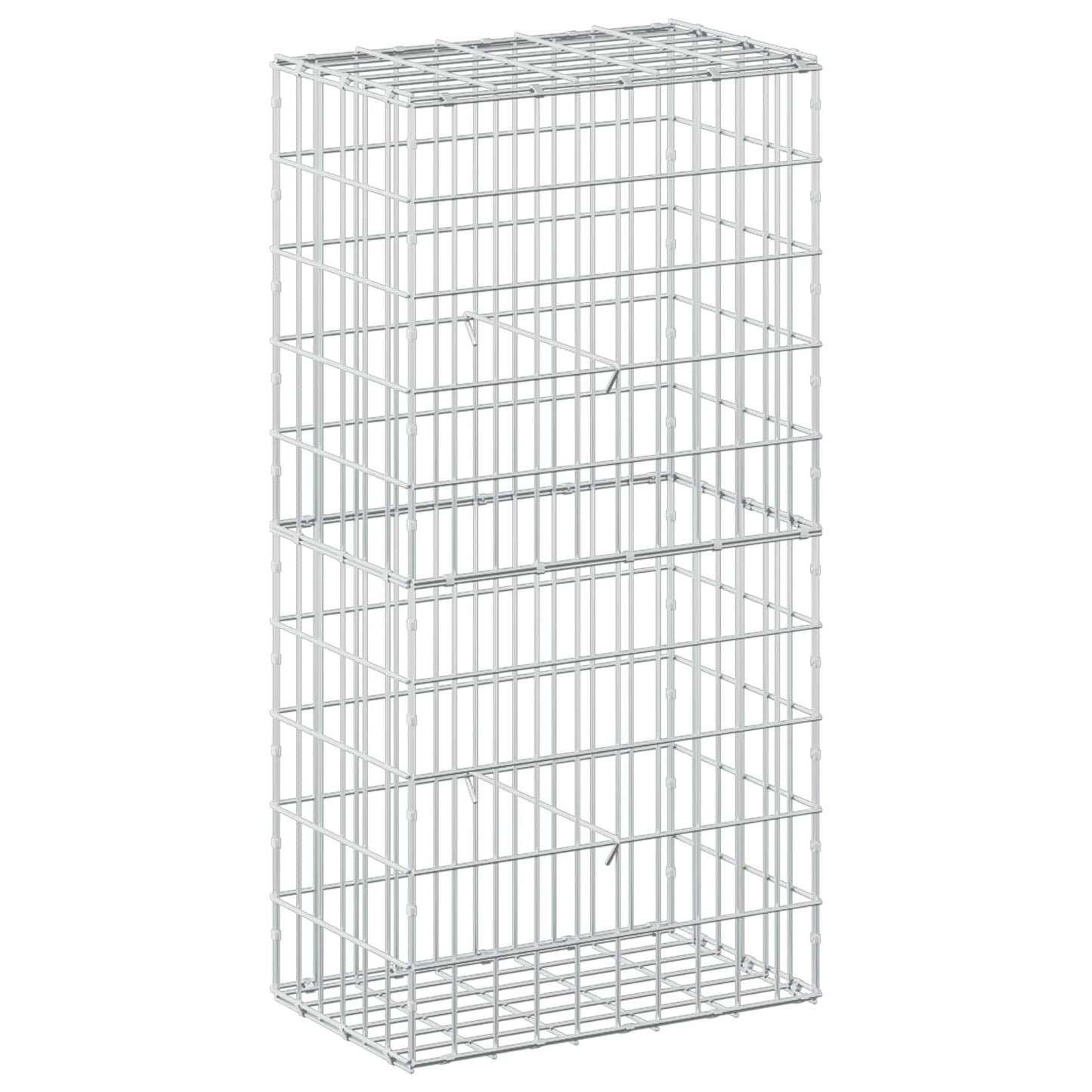 vidaXL Γκαμπιόν με σύρμα 5 mm και πλέγμα 5x10 cm 50x30x100 εκ